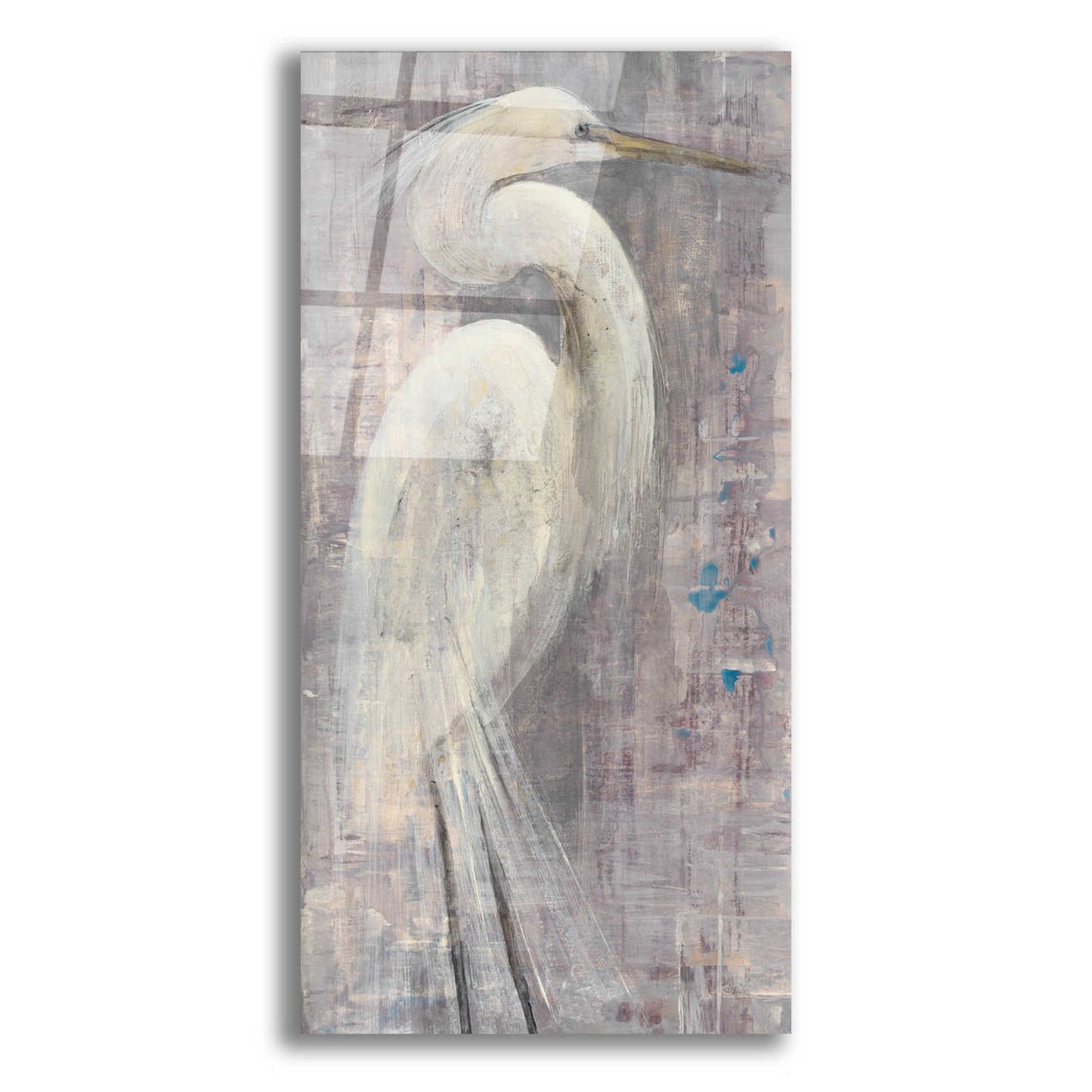 Epic Art 'Coastal Egret I Legs II' by Albena Hristova, Acrylic Glass Wall Art,12x24