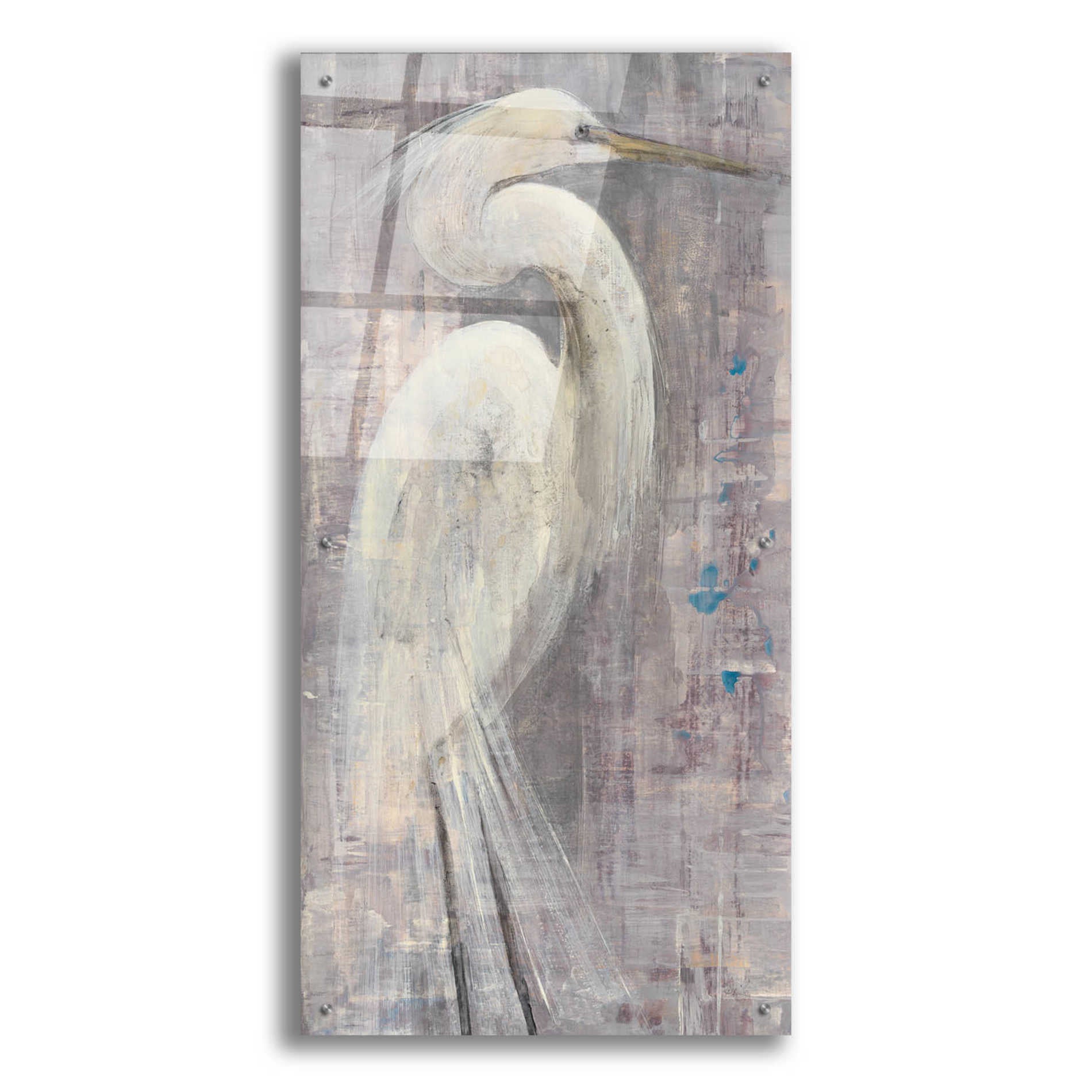 Epic Art 'Coastal Egret I Legs II' by Albena Hristova, Acrylic Glass Wall Art,24x48