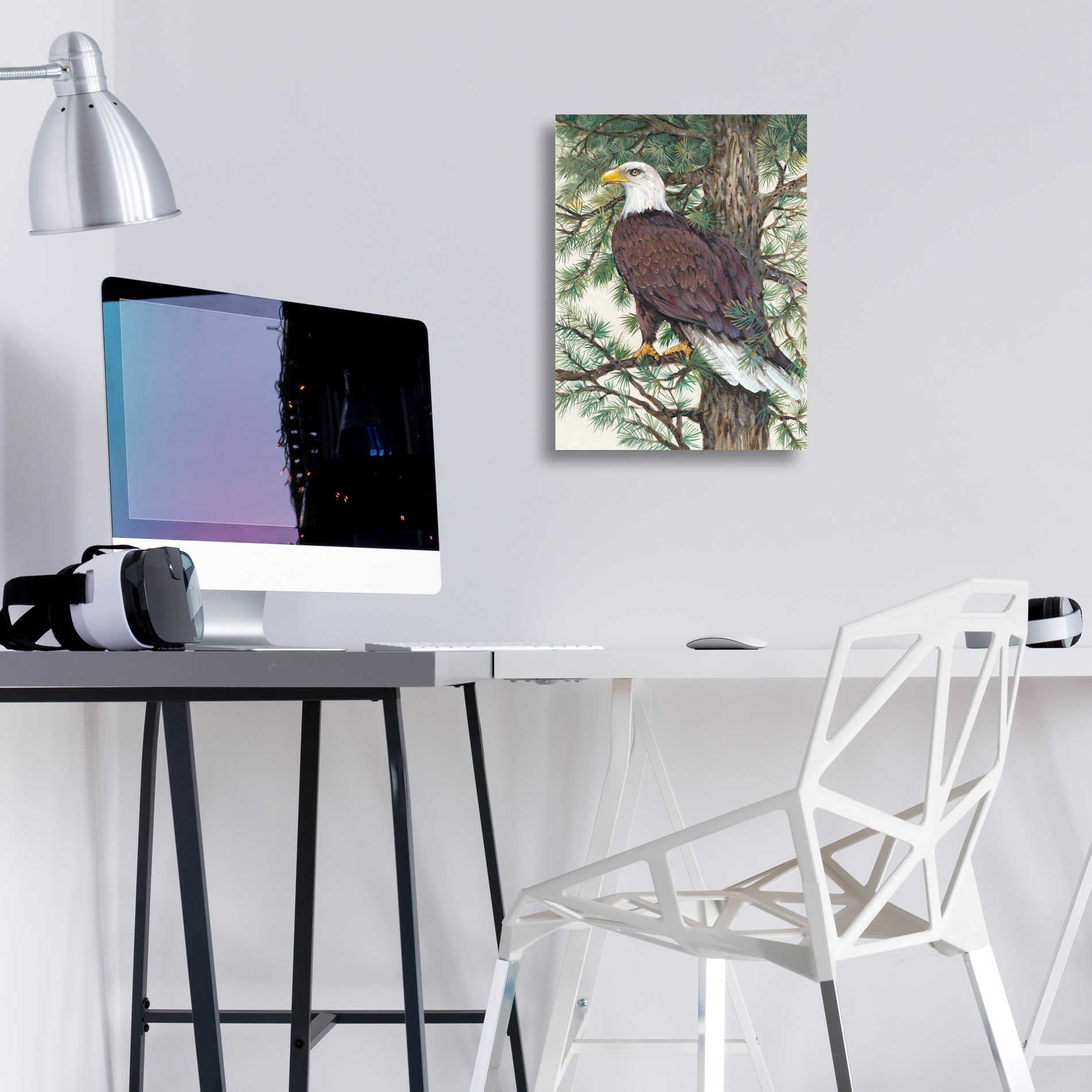 Epic Art 'Eagle in the Pine' by Tim O'Toole, Acrylic Glass Wall Art,12x16