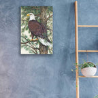 Epic Art 'Eagle in the Pine' by Tim O'Toole, Acrylic Glass Wall Art,16x24