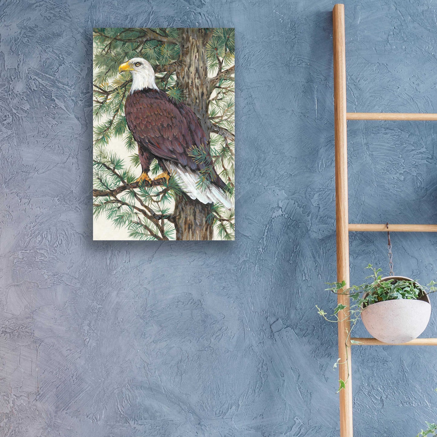 Epic Art 'Eagle in the Pine' by Tim O'Toole, Acrylic Glass Wall Art,16x24