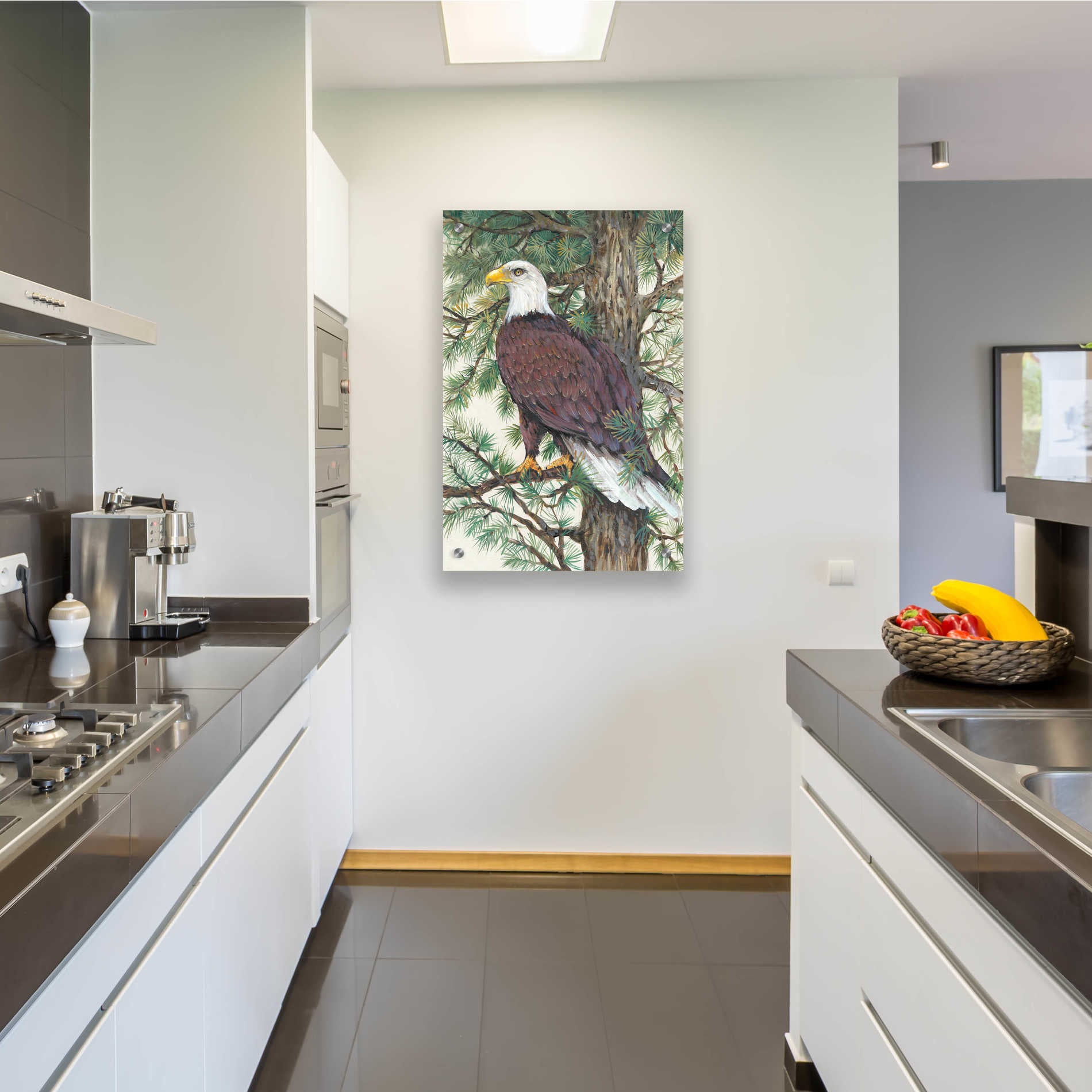 Epic Art 'Eagle in the Pine' by Tim O'Toole, Acrylic Glass Wall Art,24x36