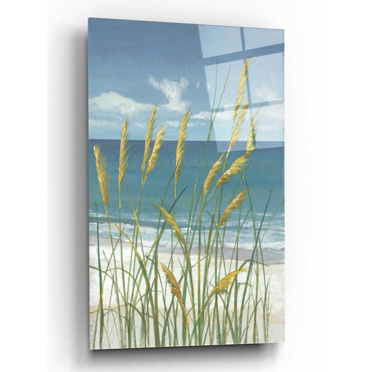 Epic Art 'Summer Breeze II' by Tim O'Toole, Acrylic Glass Wall Art