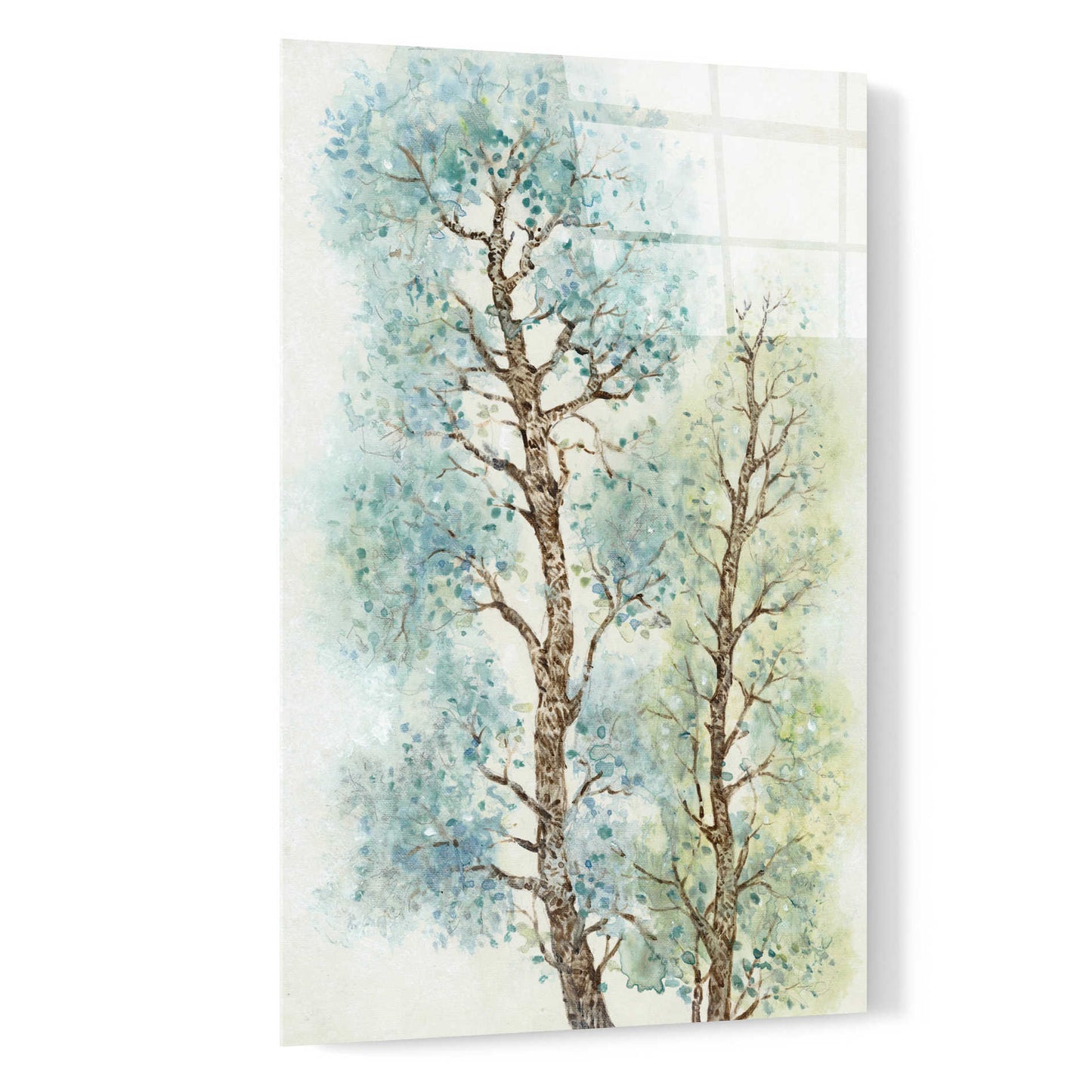 Epic Art 'Tranquil Tree Tops I' by Tim O'Toole, Acrylic Glass Wall Art,16x24