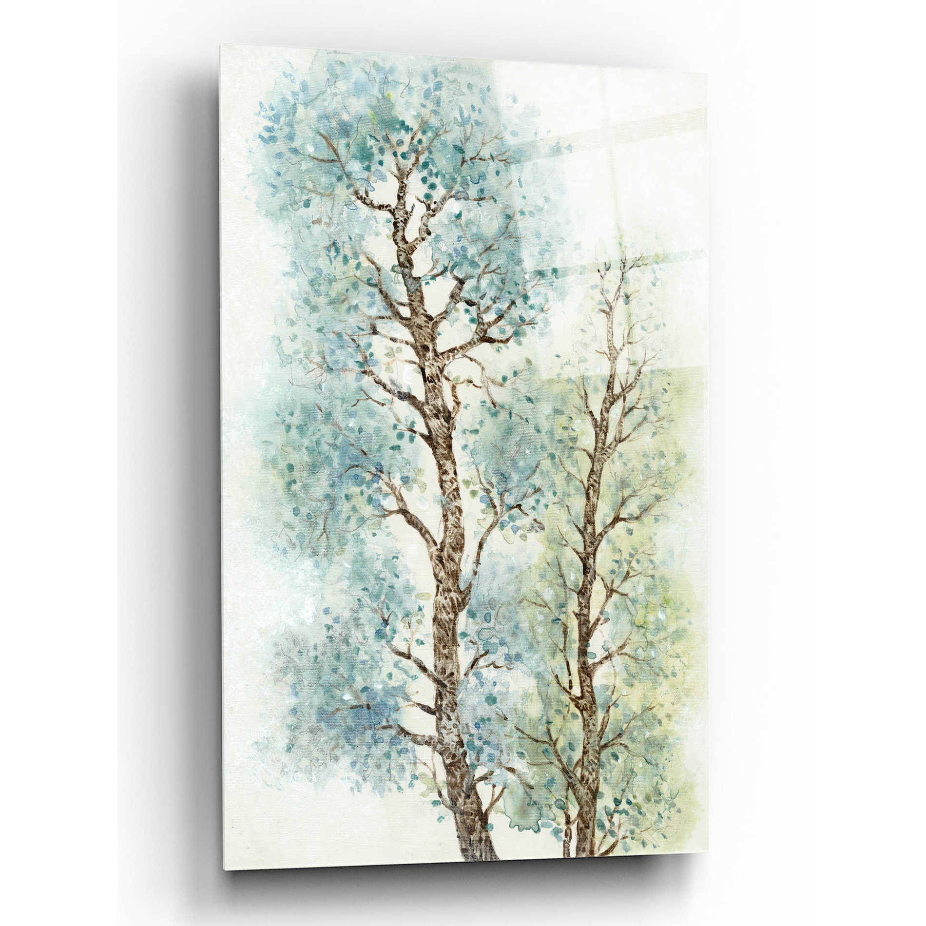 Epic Art 'Tranquil Tree Tops I' by Tim O'Toole, Acrylic Glass Wall Art