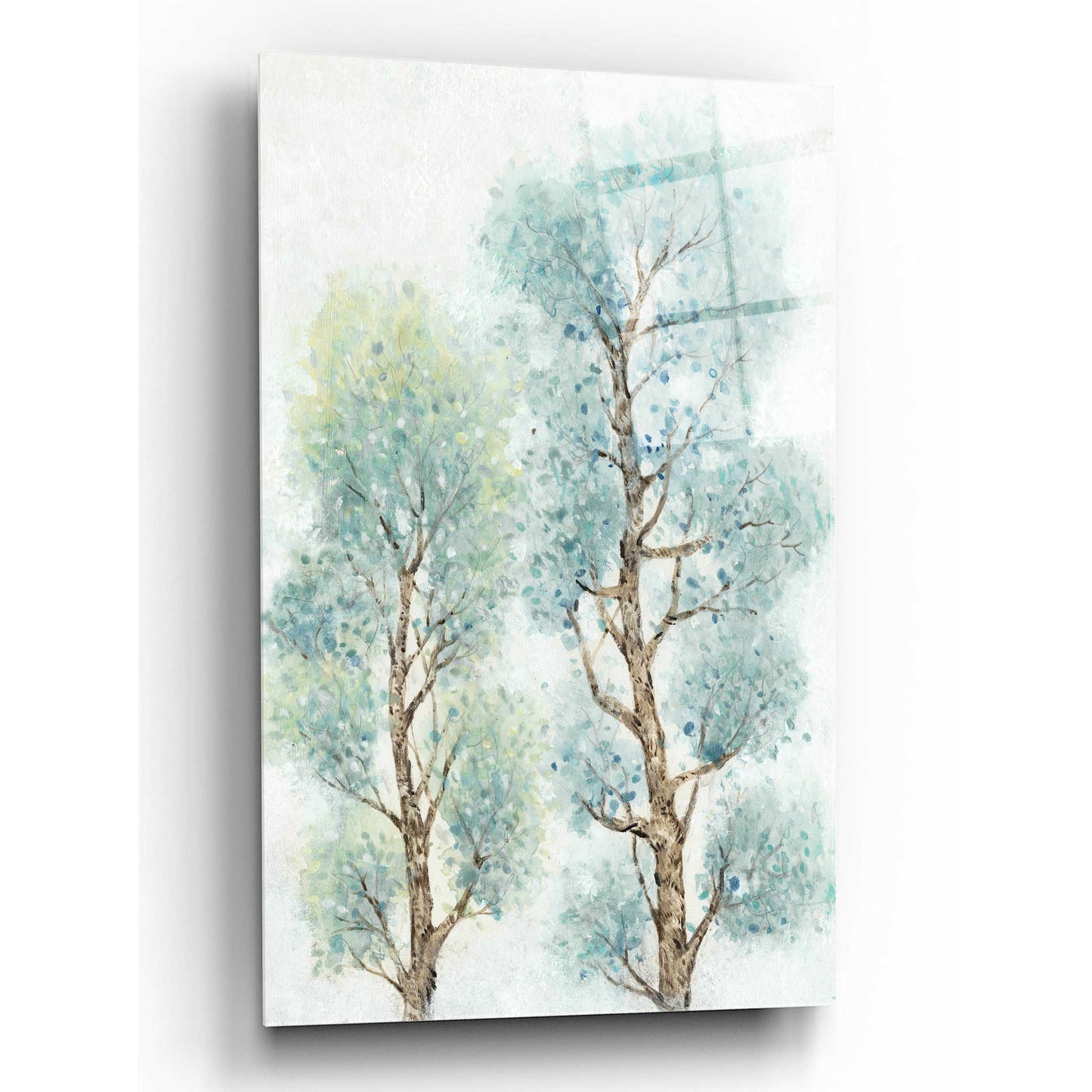 Epic Art 'Tranquil Tree Tops II' by Tim O'Toole, Acrylic Glass Wall Art,12x16