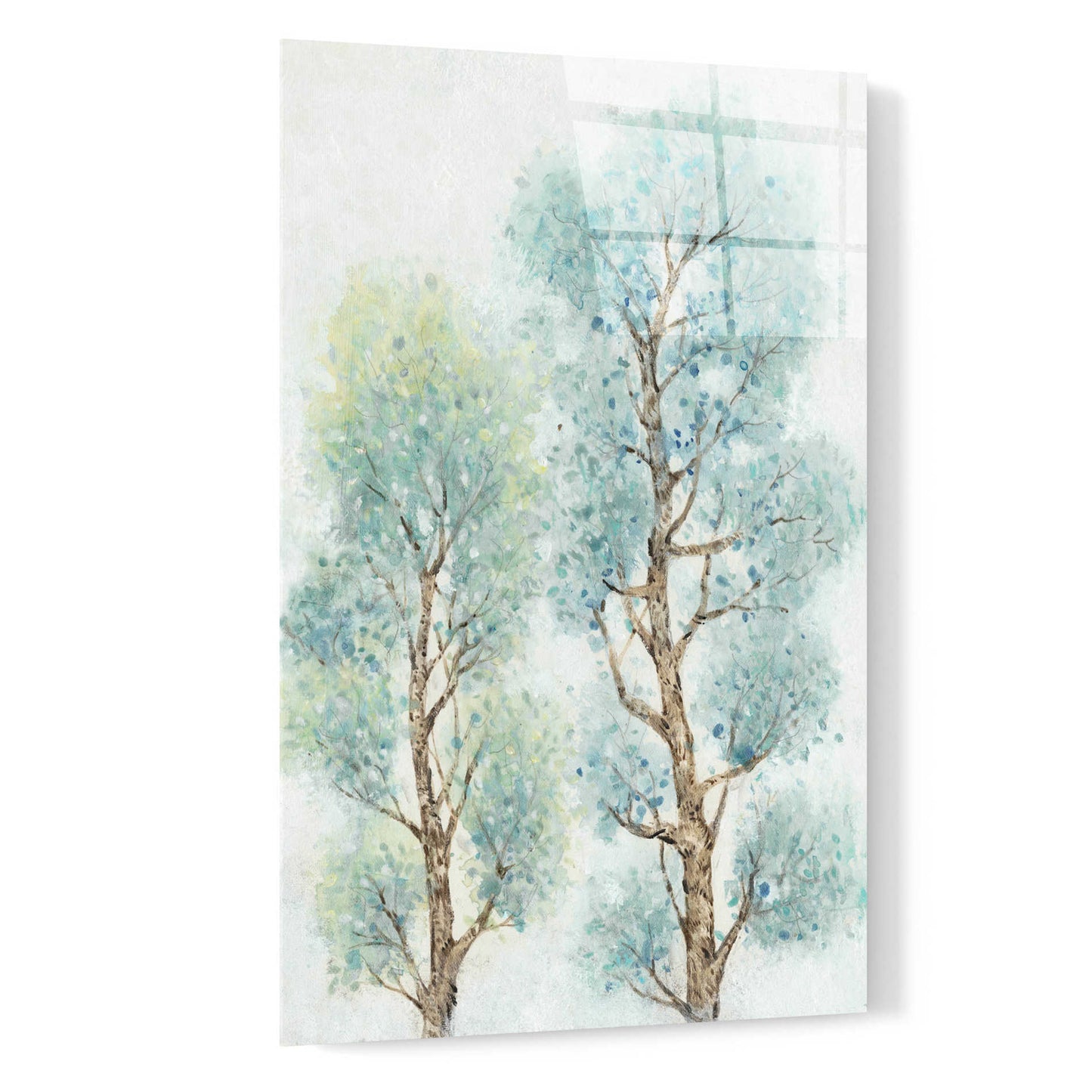 Epic Art 'Tranquil Tree Tops II' by Tim O'Toole, Acrylic Glass Wall Art,16x24