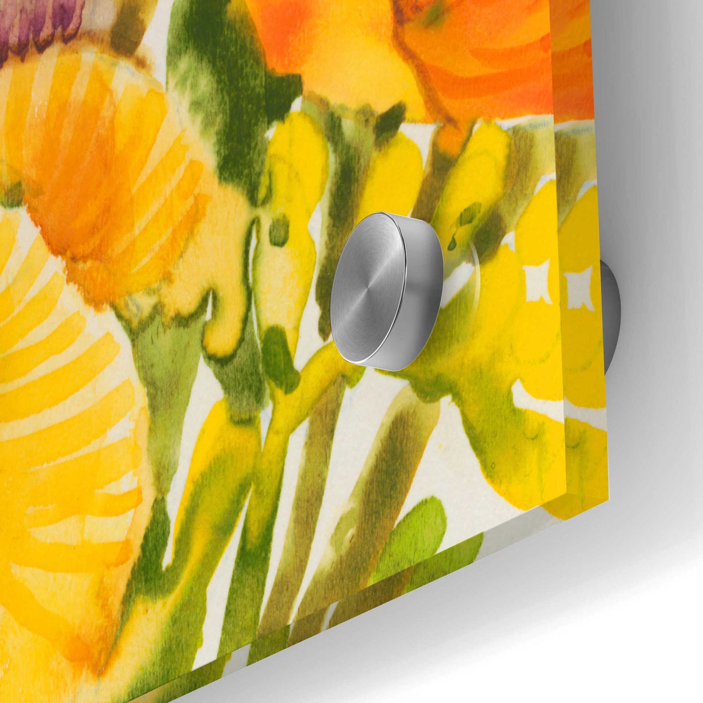 Epic Art 'Wildflower Study I' by Tim O'Toole, Acrylic Glass Wall Art,24x36