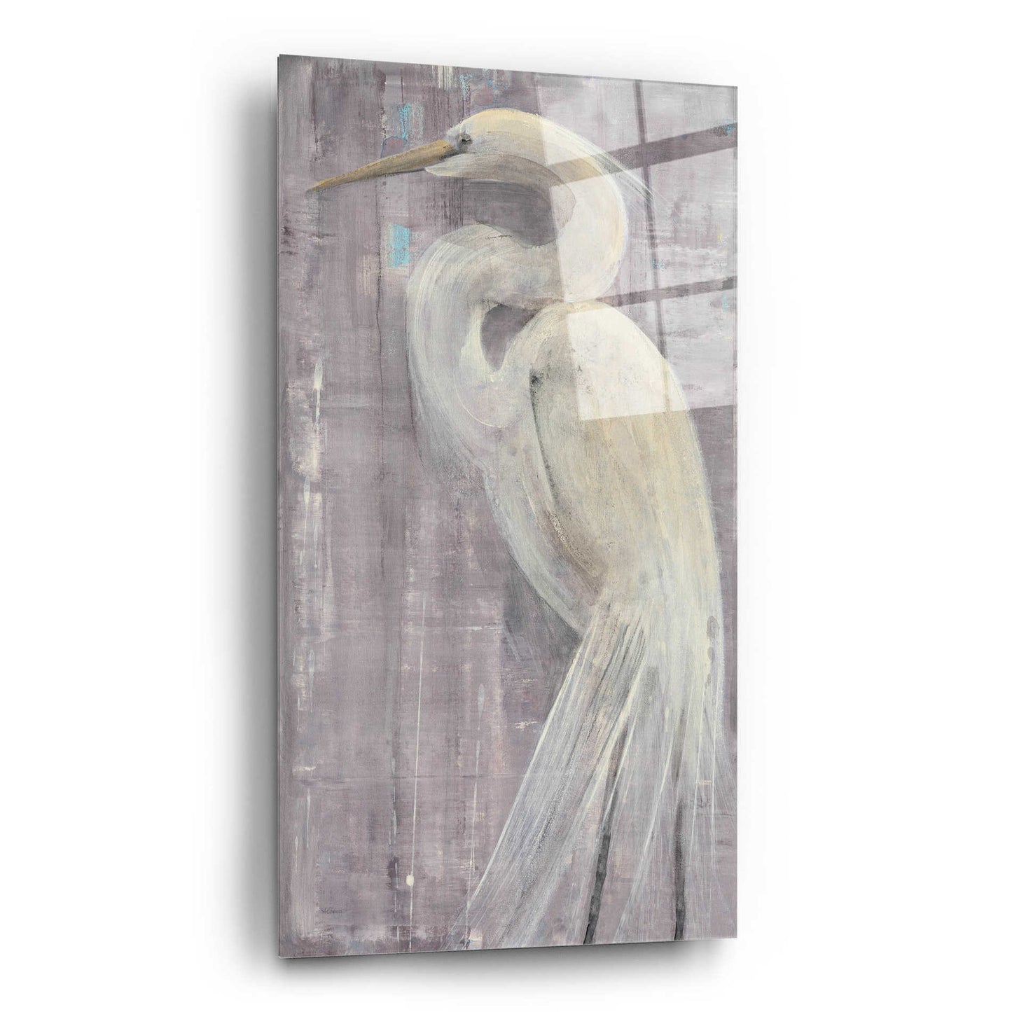 Epic Art 'Coastal Egret II Legs II' by Albena Hristova, Acrylic Glass Wall Art,12x24