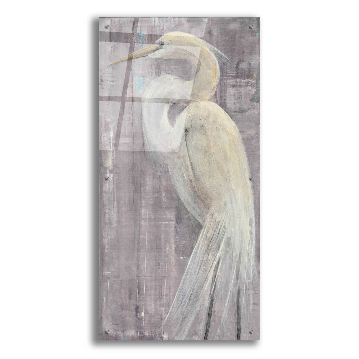 Epic Art 'Coastal Egret II Legs II' by Albena Hristova, Acrylic Glass Wall Art,24x48