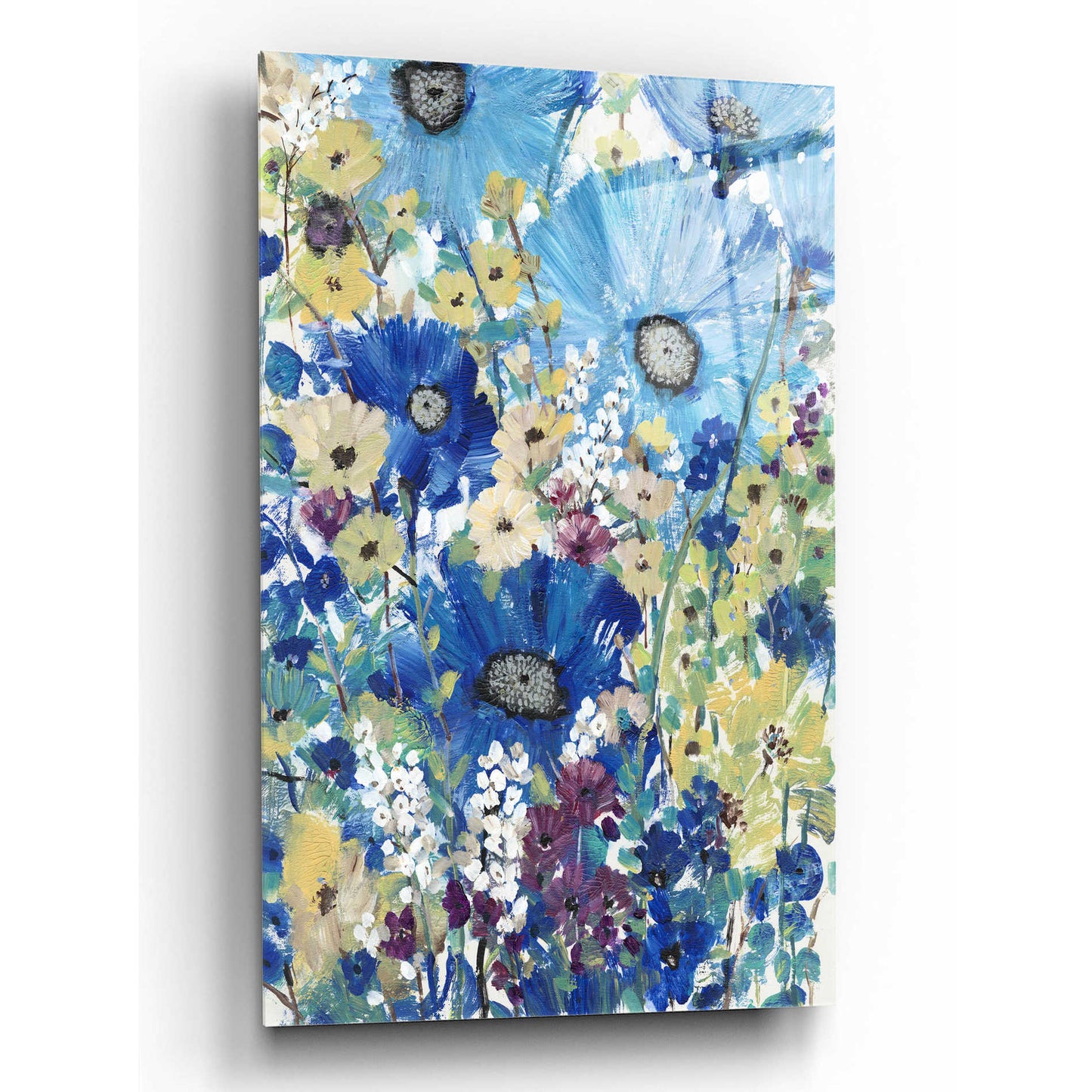 Epic Art 'Garden Blues I' by Tim O'Toole, Acrylic Glass Wall Art,12x16