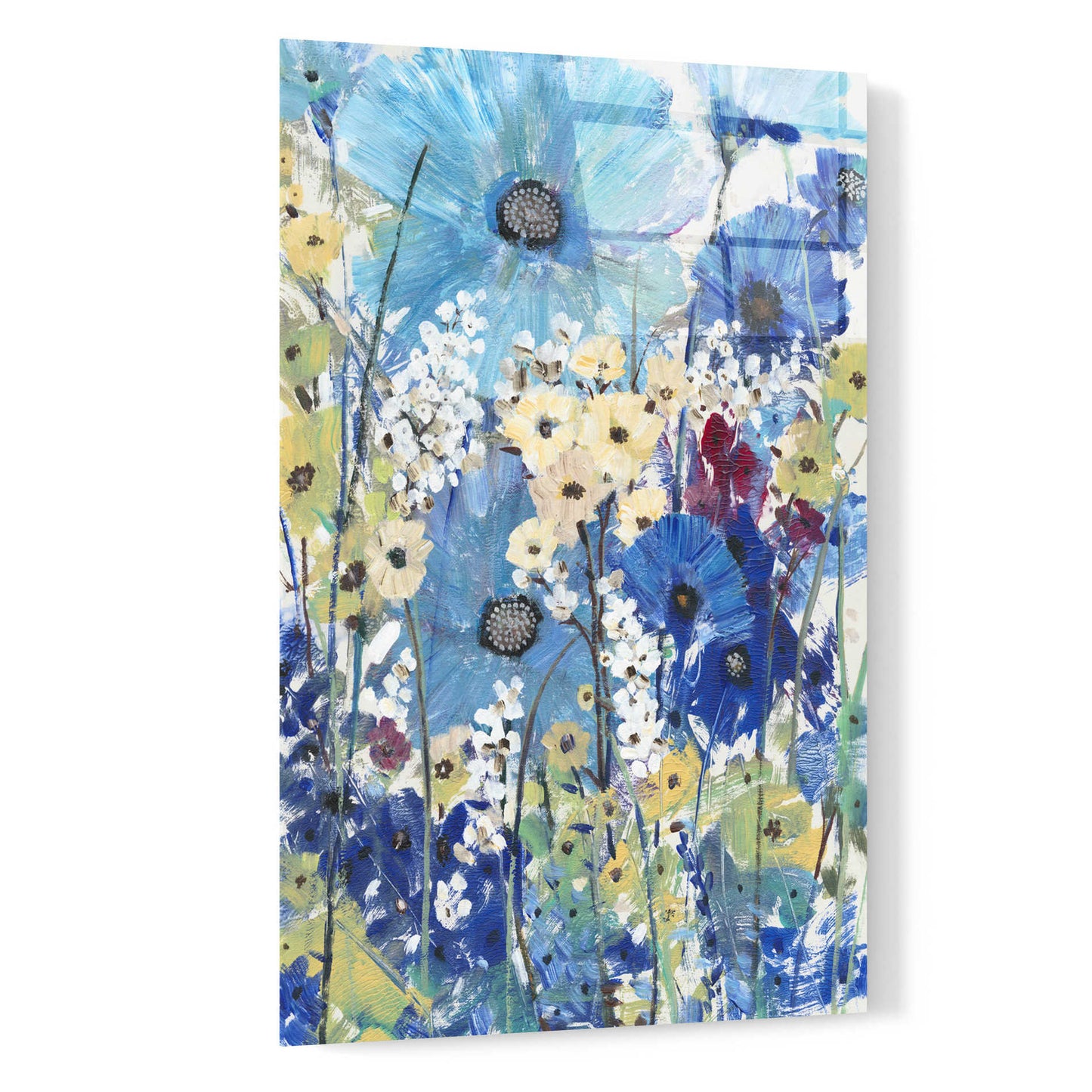 Epic Art 'Garden Blues II' by Tim O'Toole, Acrylic Glass Wall Art,16x24