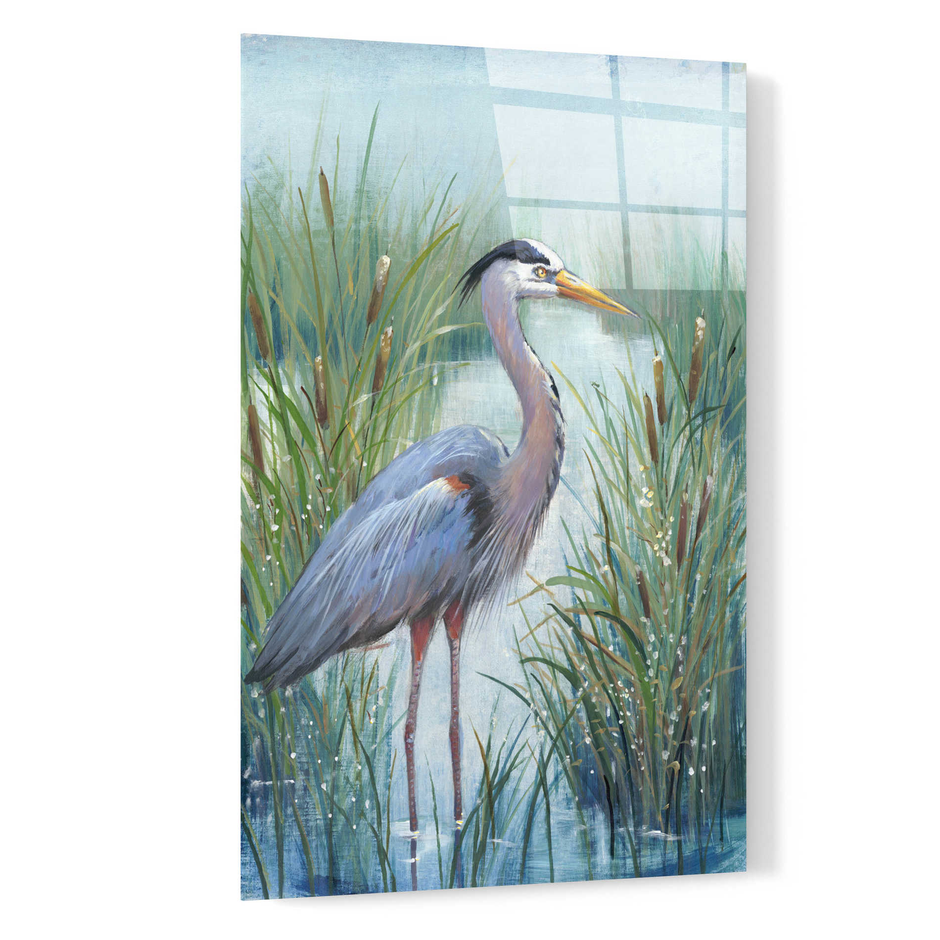 Epic Art 'Marsh Heron I' by Tim O'Toole, Acrylic Glass Wall Art,16x24