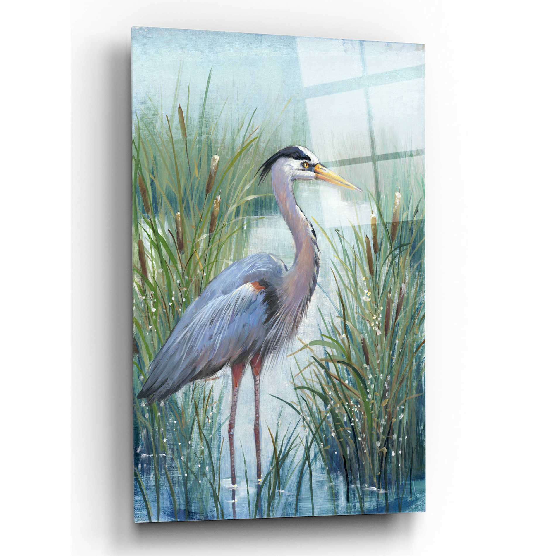 Epic Art 'Marsh Heron I' by Tim O'Toole, Acrylic Glass Wall Art,16x24