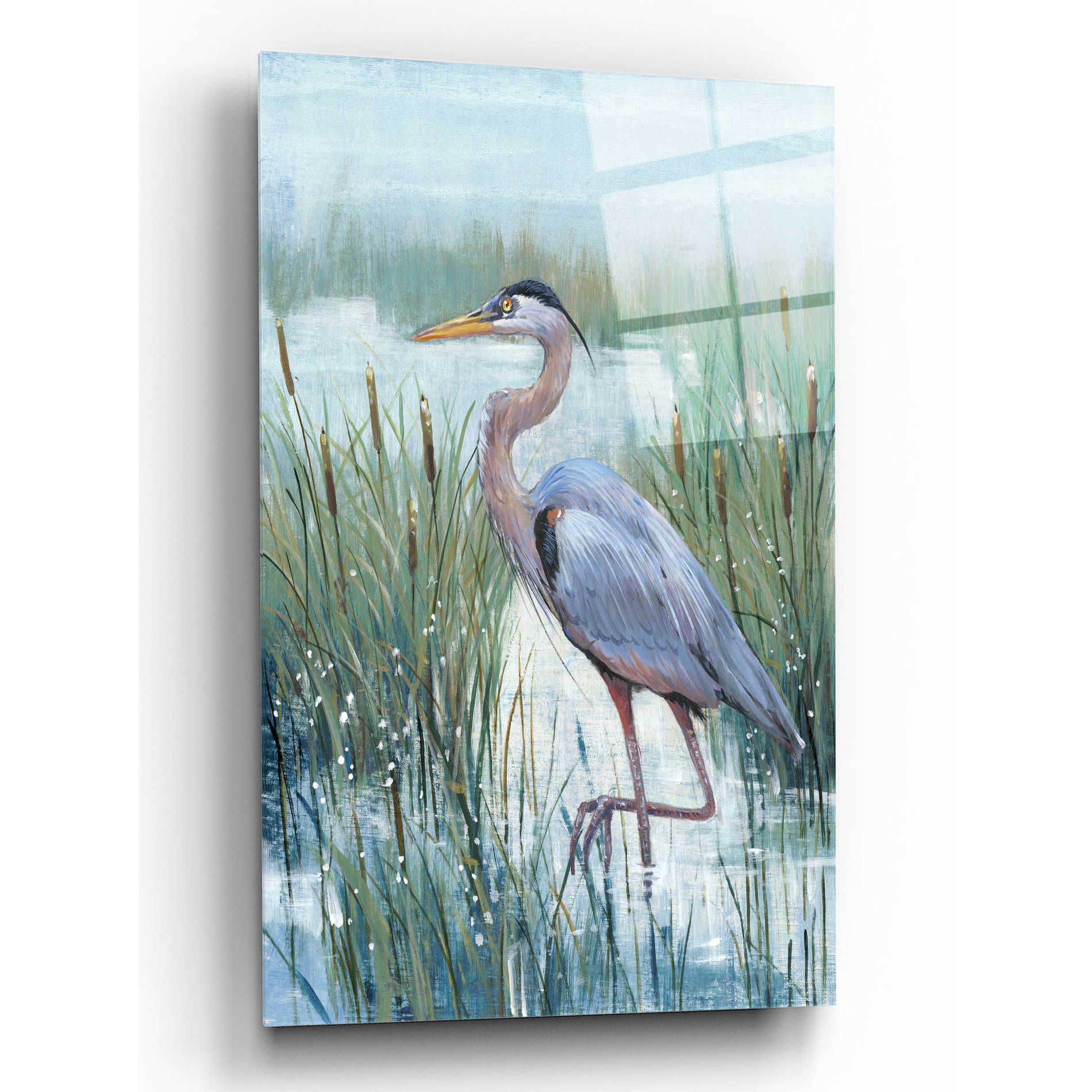 Epic Art 'Marsh Heron II' by Tim O'Toole, Acrylic Glass Wall Art,12x16