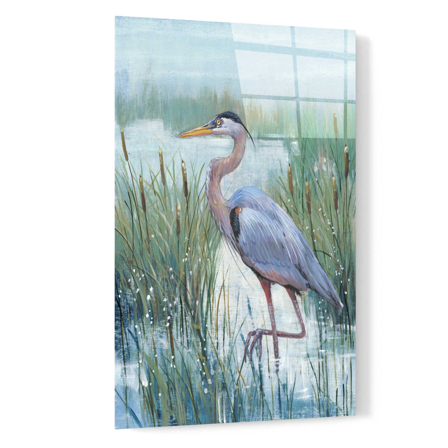 Epic Art 'Marsh Heron II' by Tim O'Toole, Acrylic Glass Wall Art,16x24