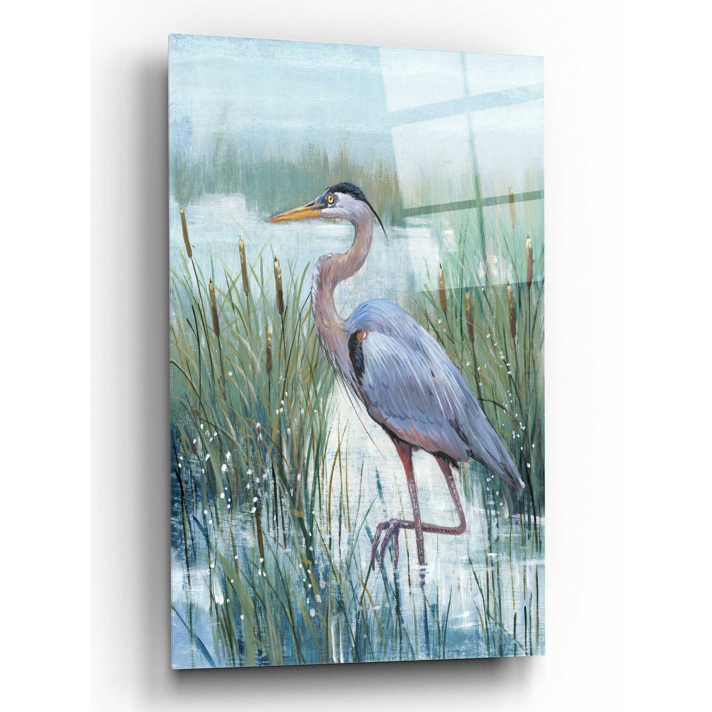 Epic Art 'Marsh Heron II' by Tim O'Toole, Acrylic Glass Wall Art