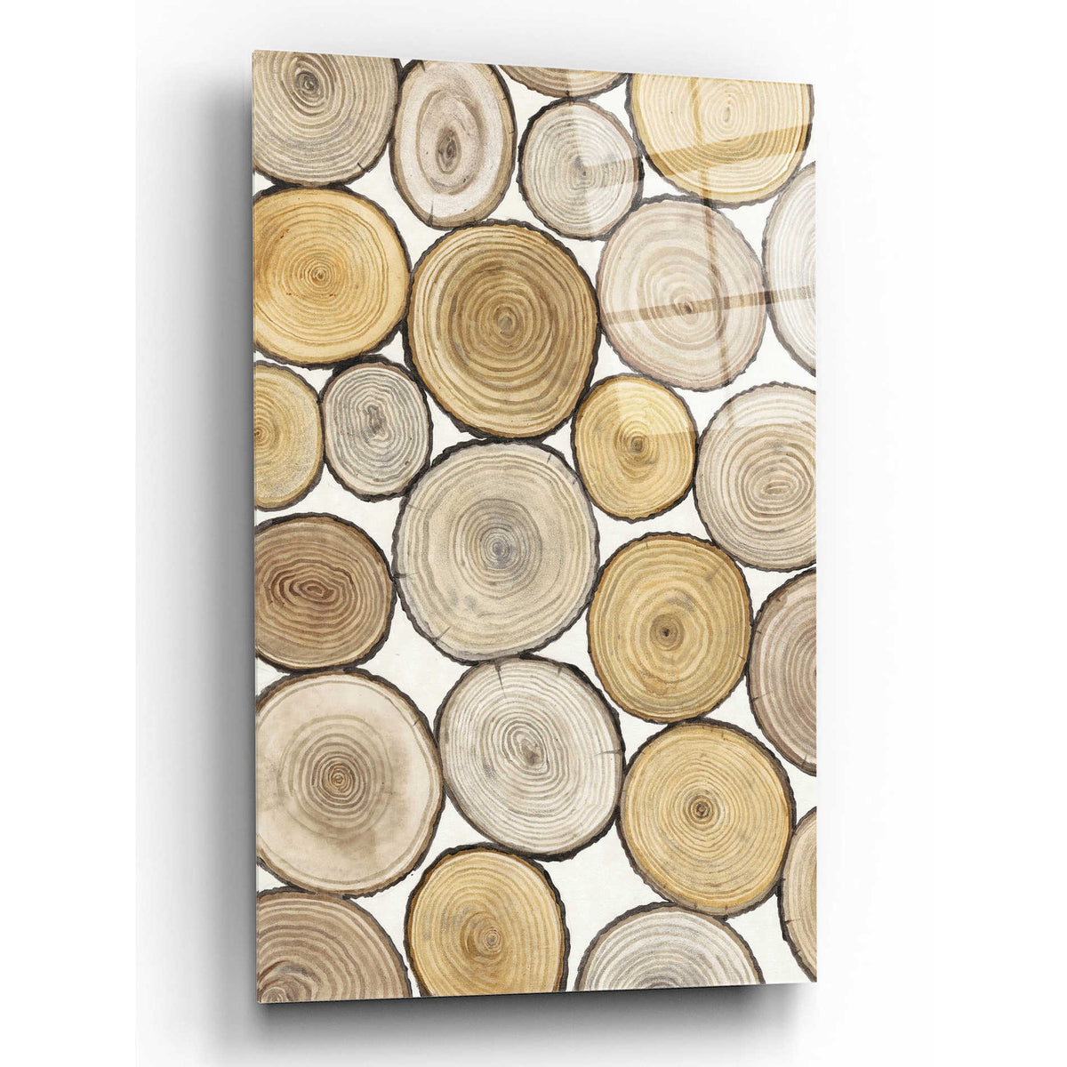 Epic Art 'Tree Ring Study I' by Tim O'Toole, Acrylic Glass Wall Art
