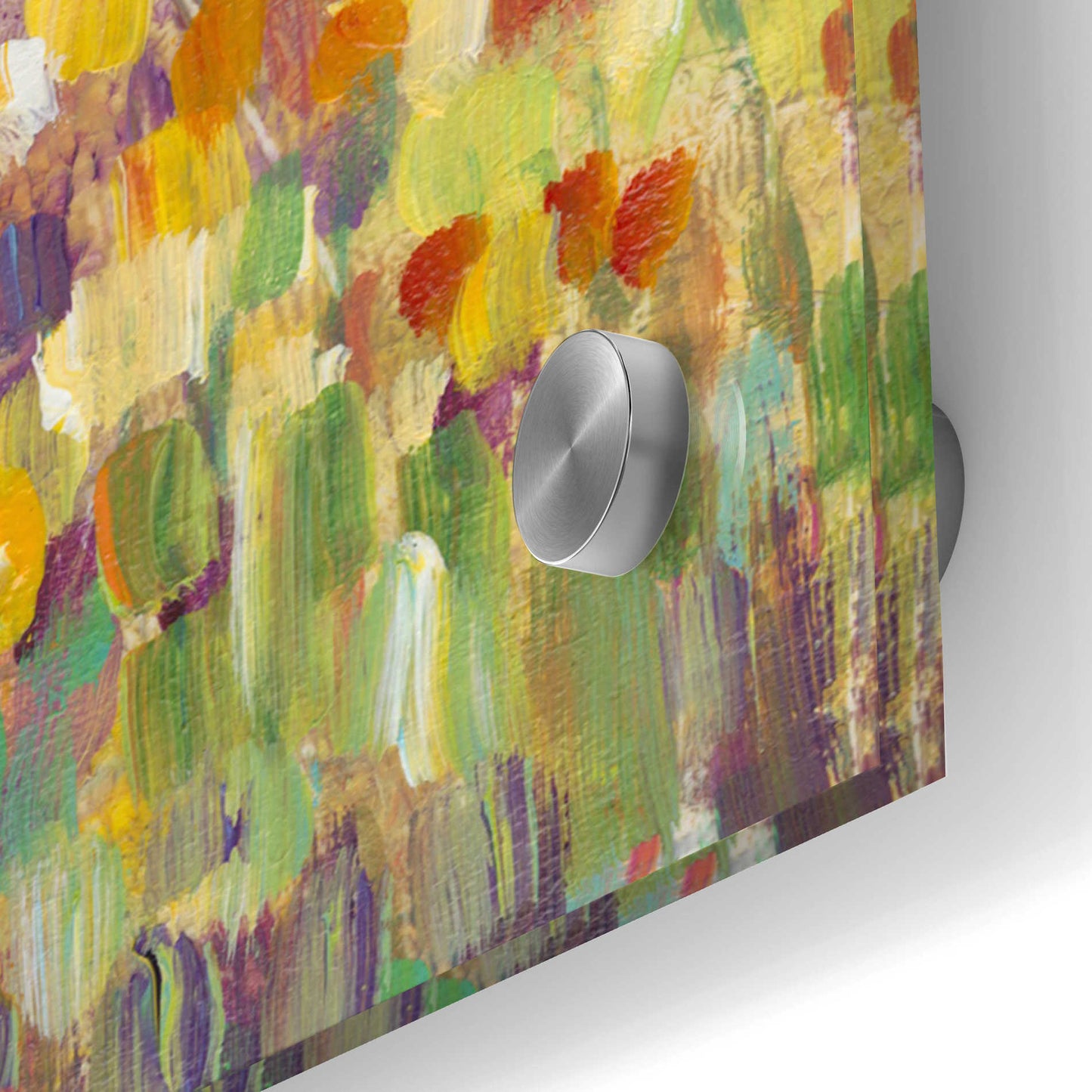 Epic Art 'Tulips in Bloom I' by Tim O'Toole, Acrylic Glass Wall Art,12x24