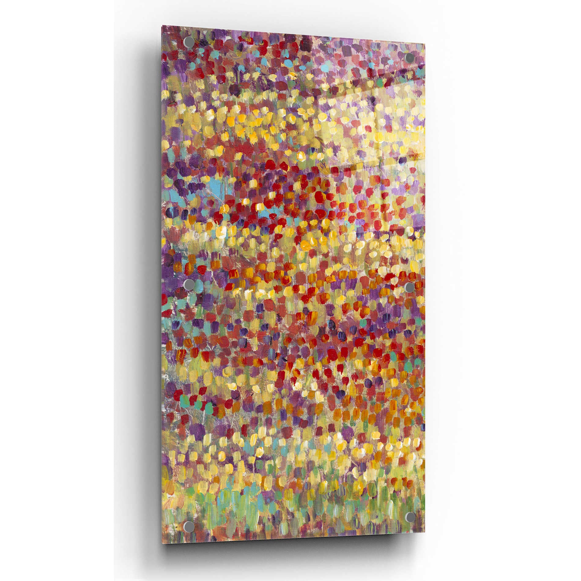 Epic Art 'Tulips in Bloom I' by Tim O'Toole, Acrylic Glass Wall Art,24x48