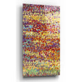 Epic Art 'Tulips in Bloom I' by Tim O'Toole, Acrylic Glass Wall Art