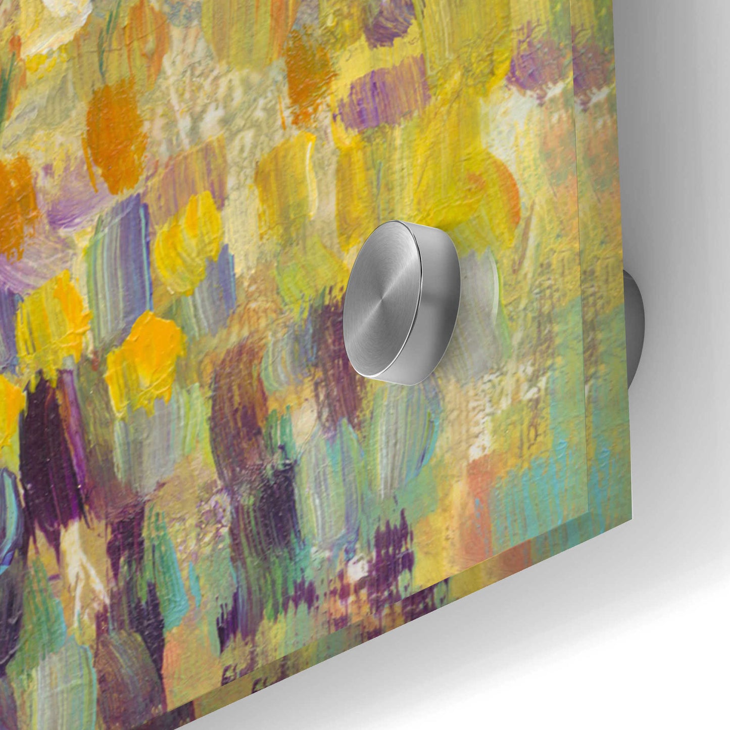 Epic Art 'Tulips in Bloom II' by Tim O'Toole, Acrylic Glass Wall Art,24x48