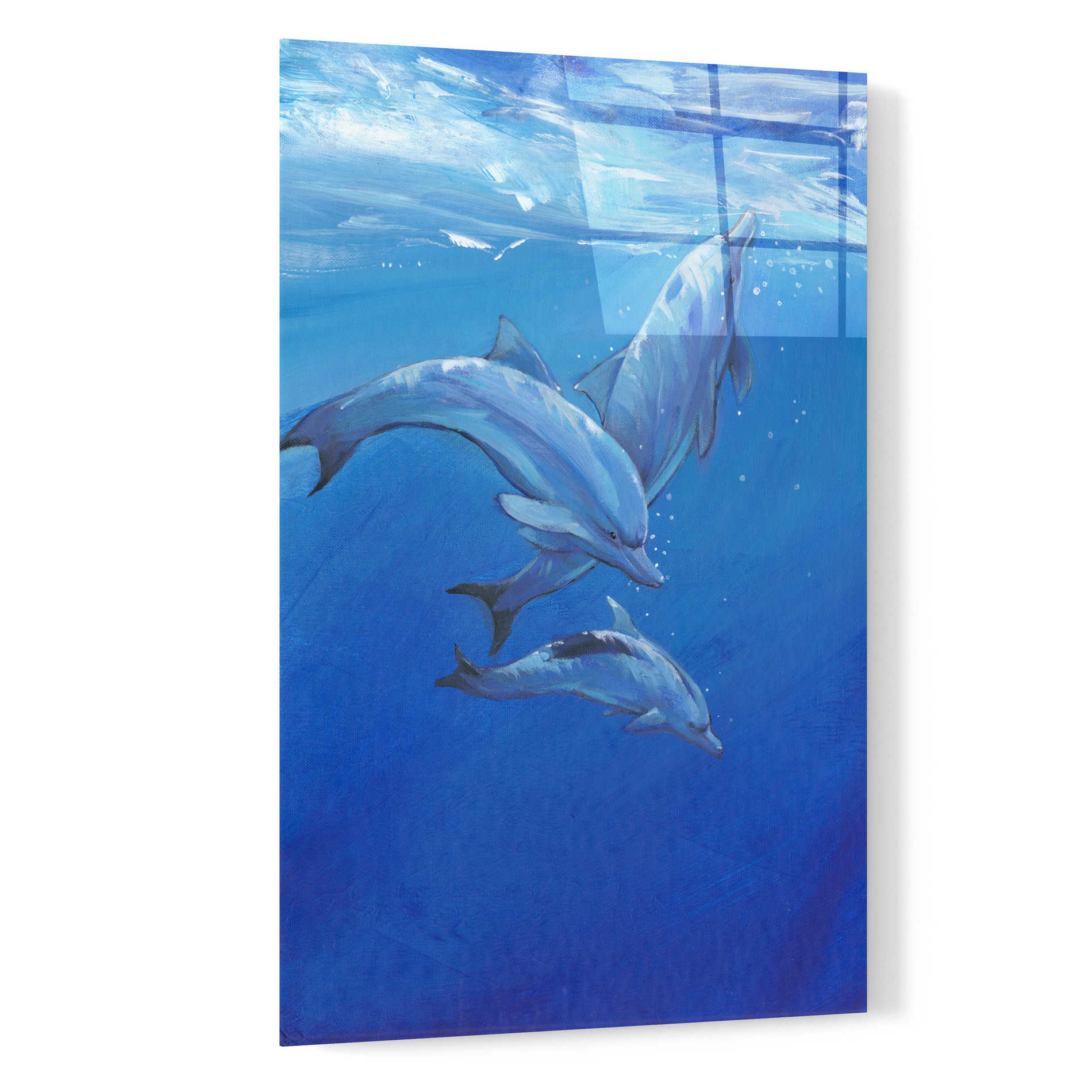 Epic Art 'Under Sea Dolphins' by Tim O'Toole, Acrylic Glass Wall Art,16x24