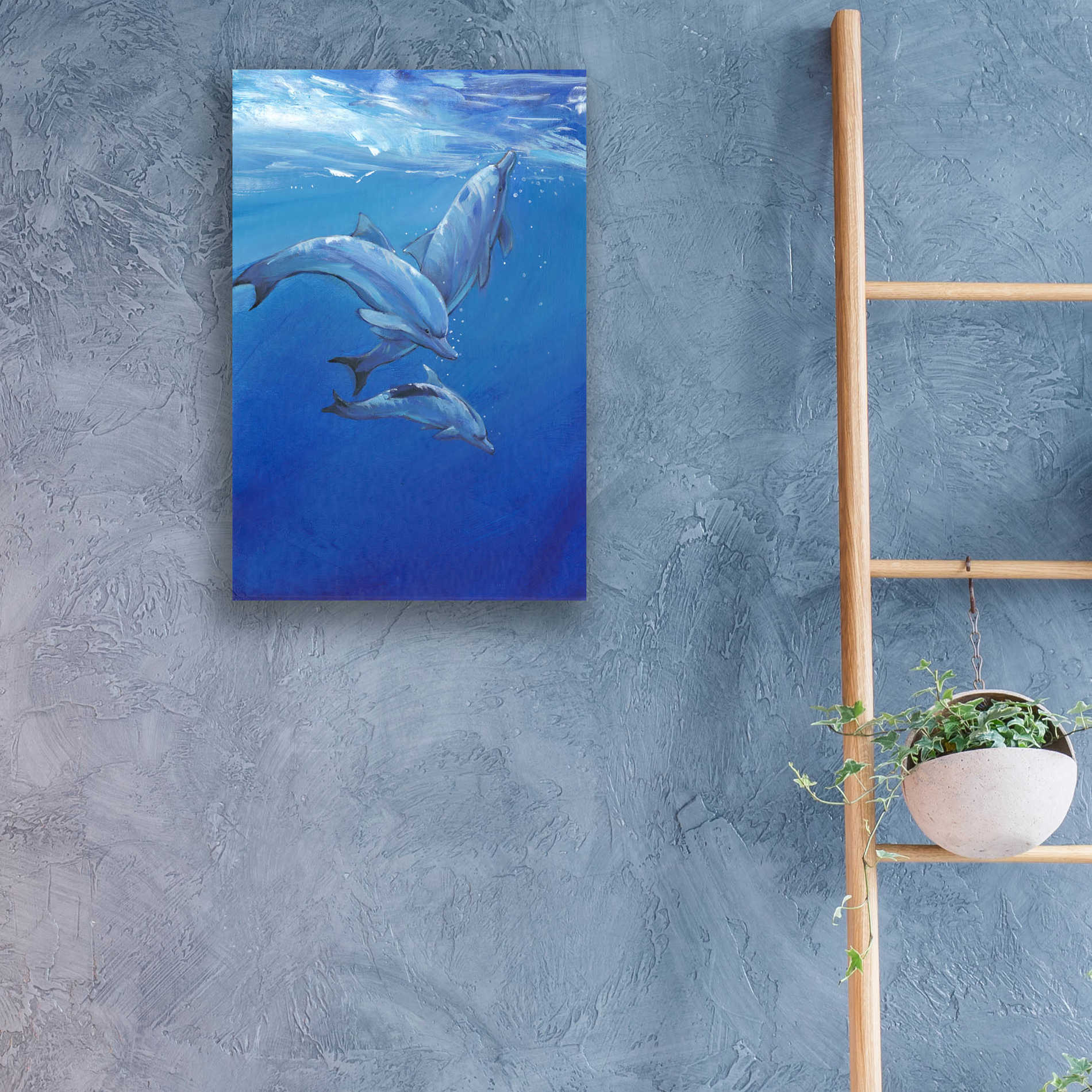 Epic Art 'Under Sea Dolphins' by Tim O'Toole, Acrylic Glass Wall Art,16x24