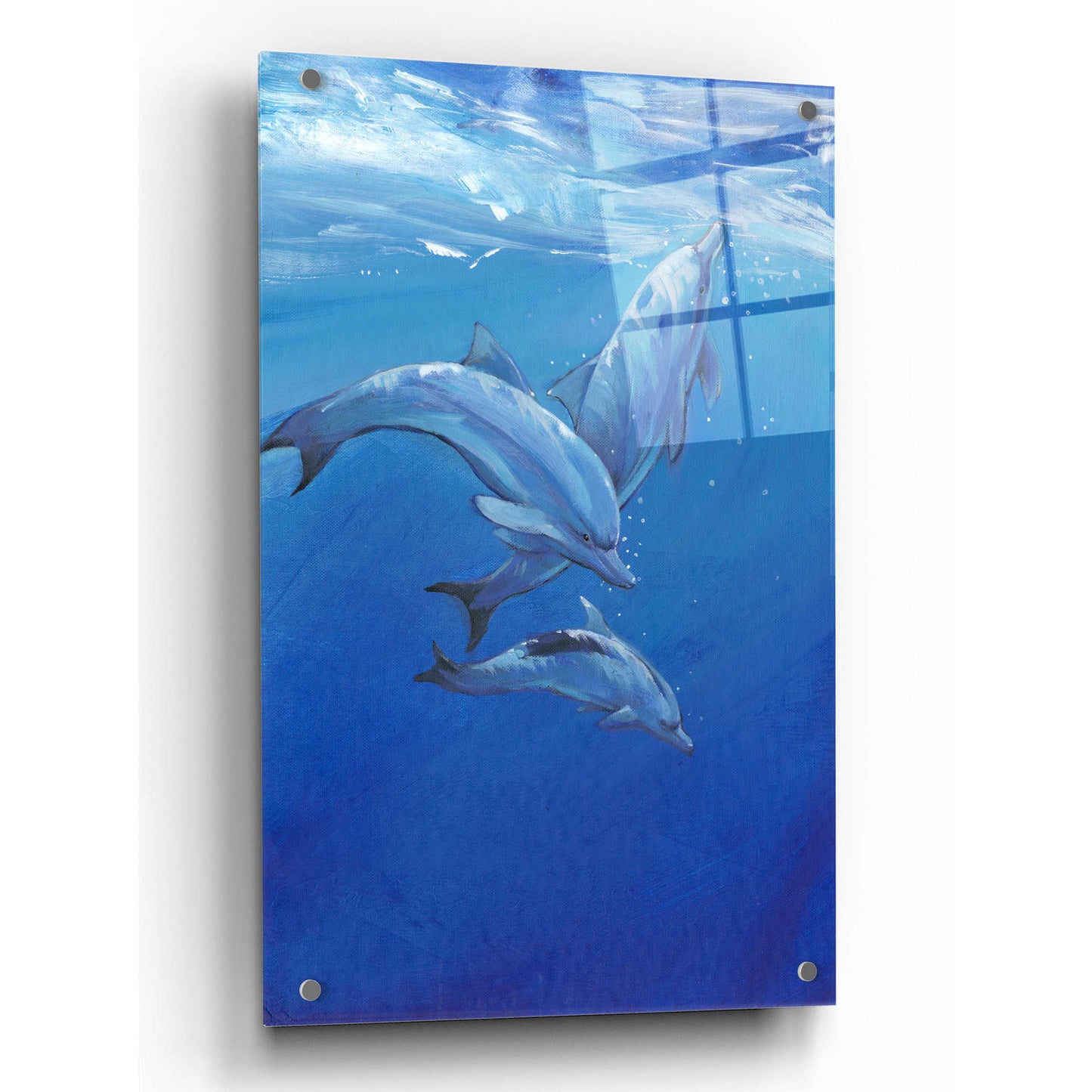 Epic Art 'Under Sea Dolphins' by Tim O'Toole, Acrylic Glass Wall Art,24x36