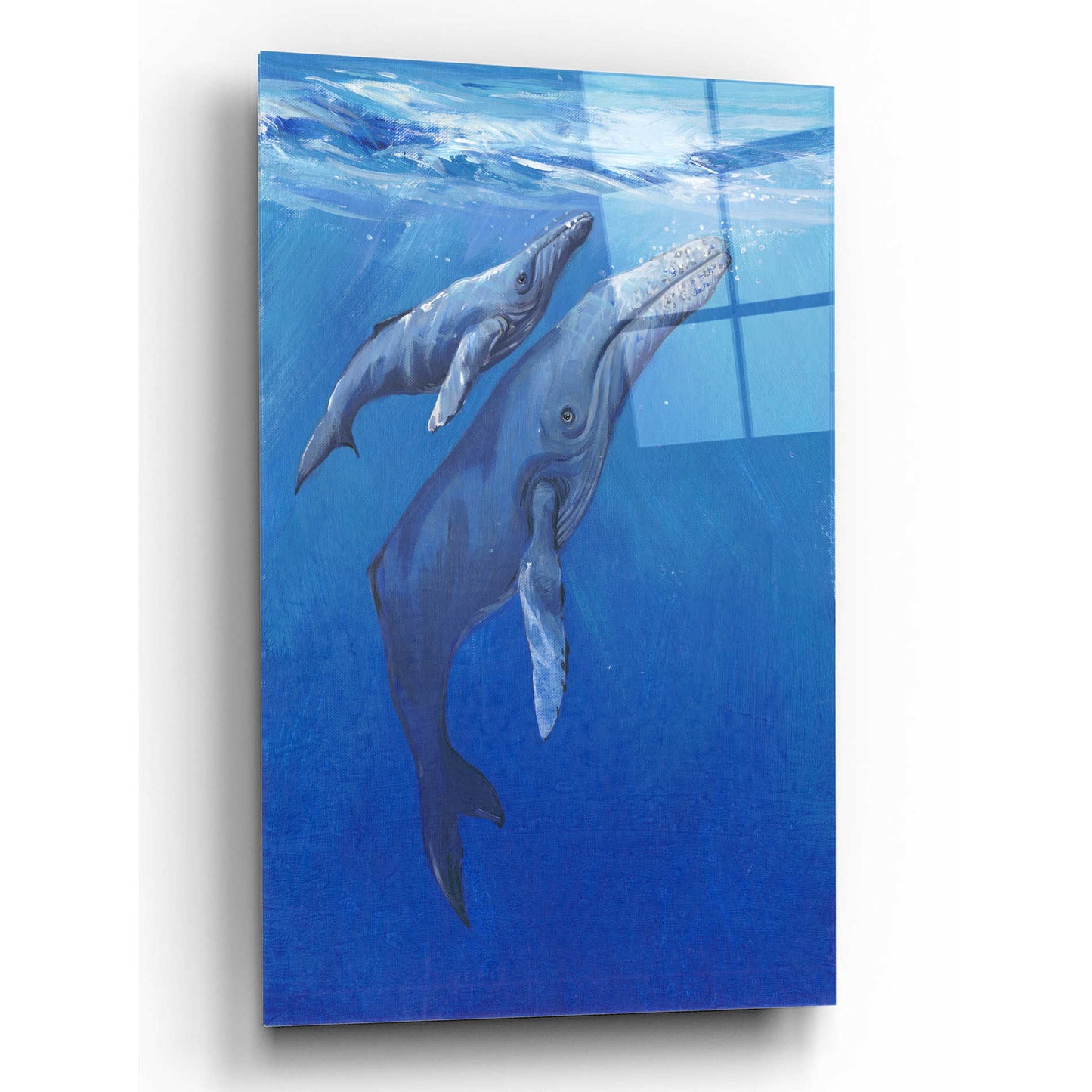 Epic Art 'Under Sea Whales I' by Tim O'Toole, Acrylic Glass Wall Art,12x16