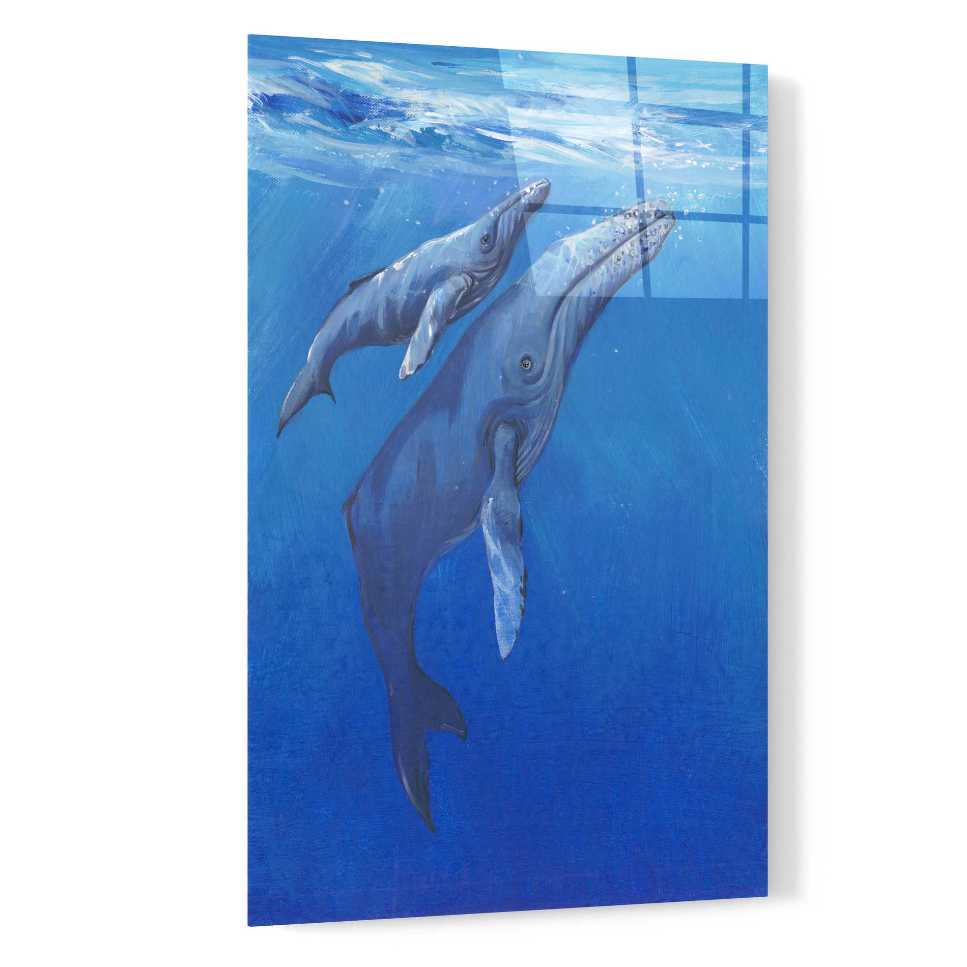 Epic Art 'Under Sea Whales I' by Tim O'Toole, Acrylic Glass Wall Art,16x24