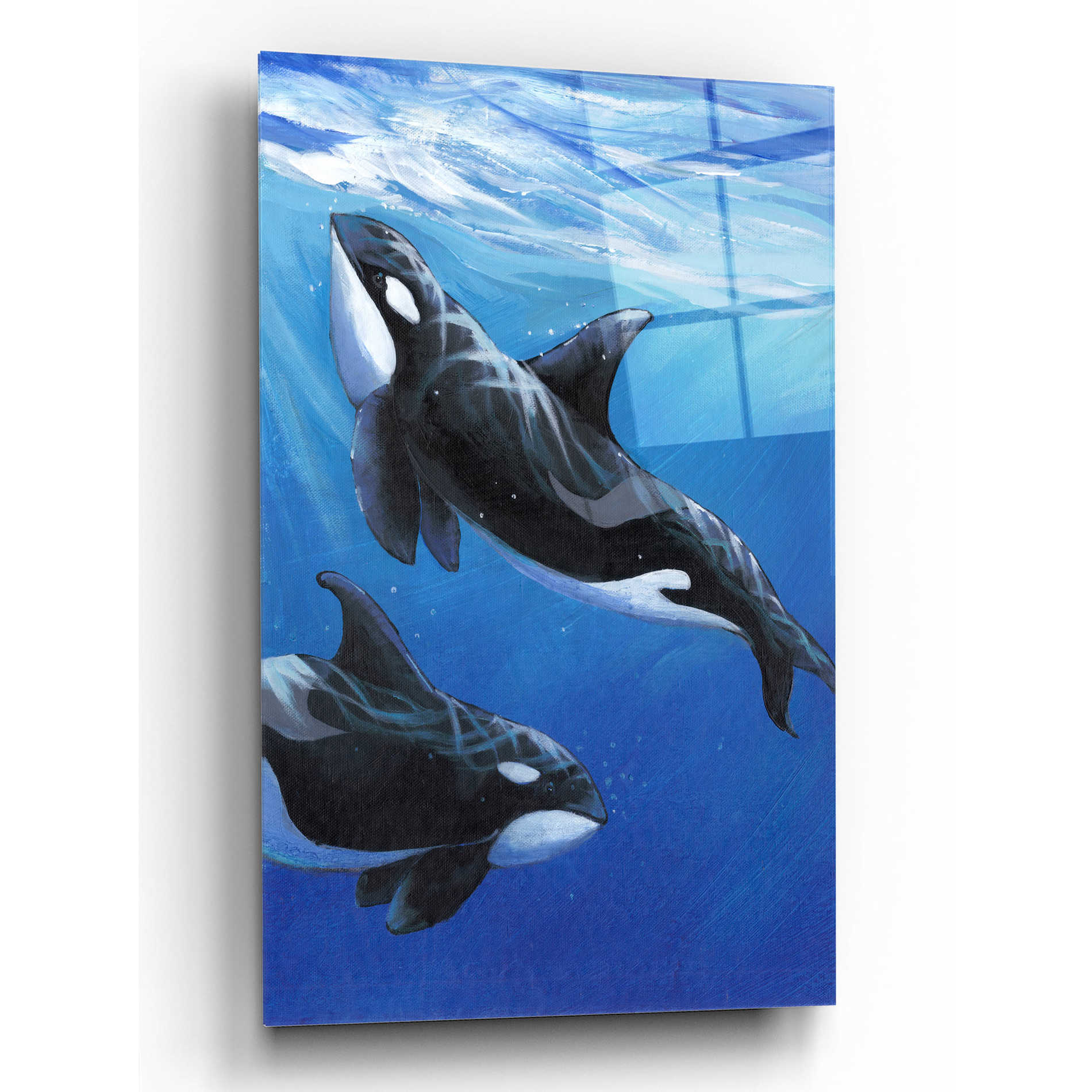 Epic Art 'Under Sea Whales II' by Tim O'Toole, Acrylic Glass Wall Art,12x16