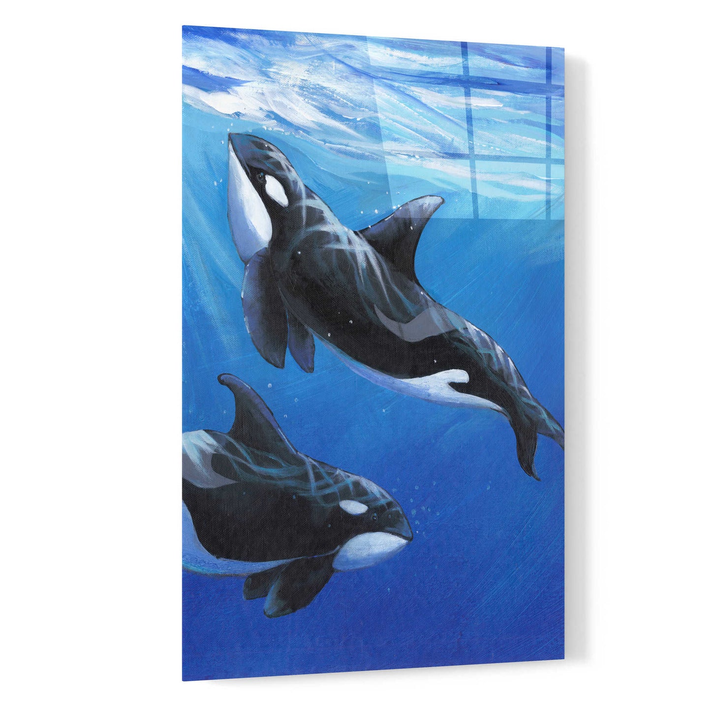 Epic Art 'Under Sea Whales II' by Tim O'Toole, Acrylic Glass Wall Art,16x24