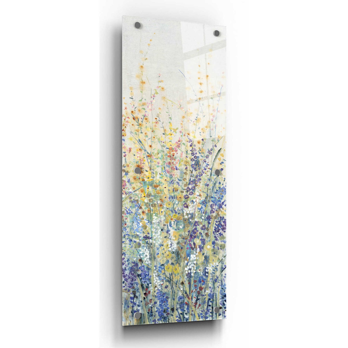 Epic Art 'Wildflower Panel I' by Tim O'Toole, Acrylic Glass Wall Art,16x48