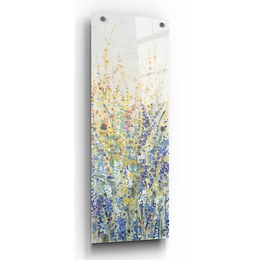 Epic Art 'Wildflower Panel I' by Tim O'Toole, Acrylic Glass Wall Art,3:1