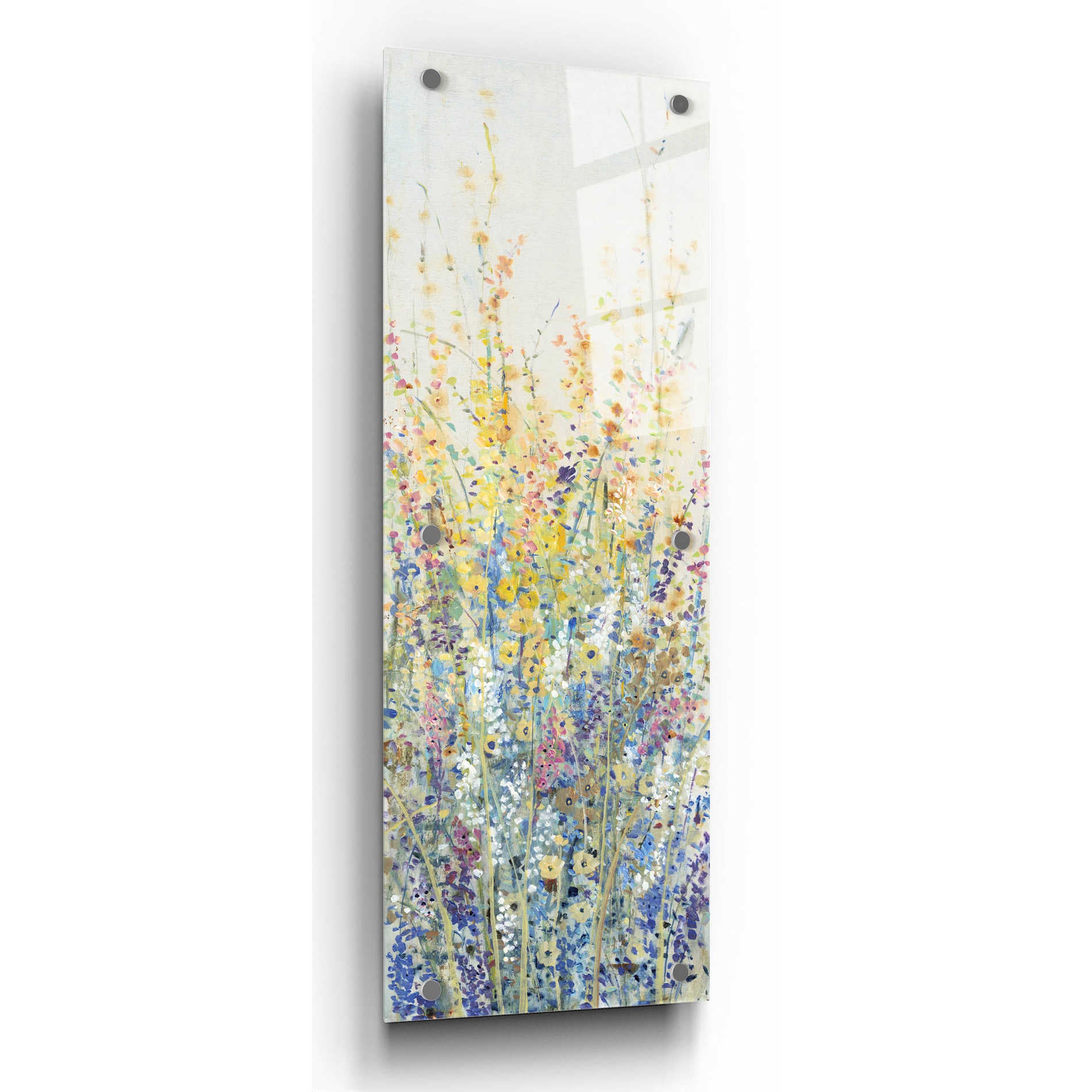 Epic Art 'Wildflower Panel II' by Tim O'Toole, Acrylic Glass Wall Art,12x36