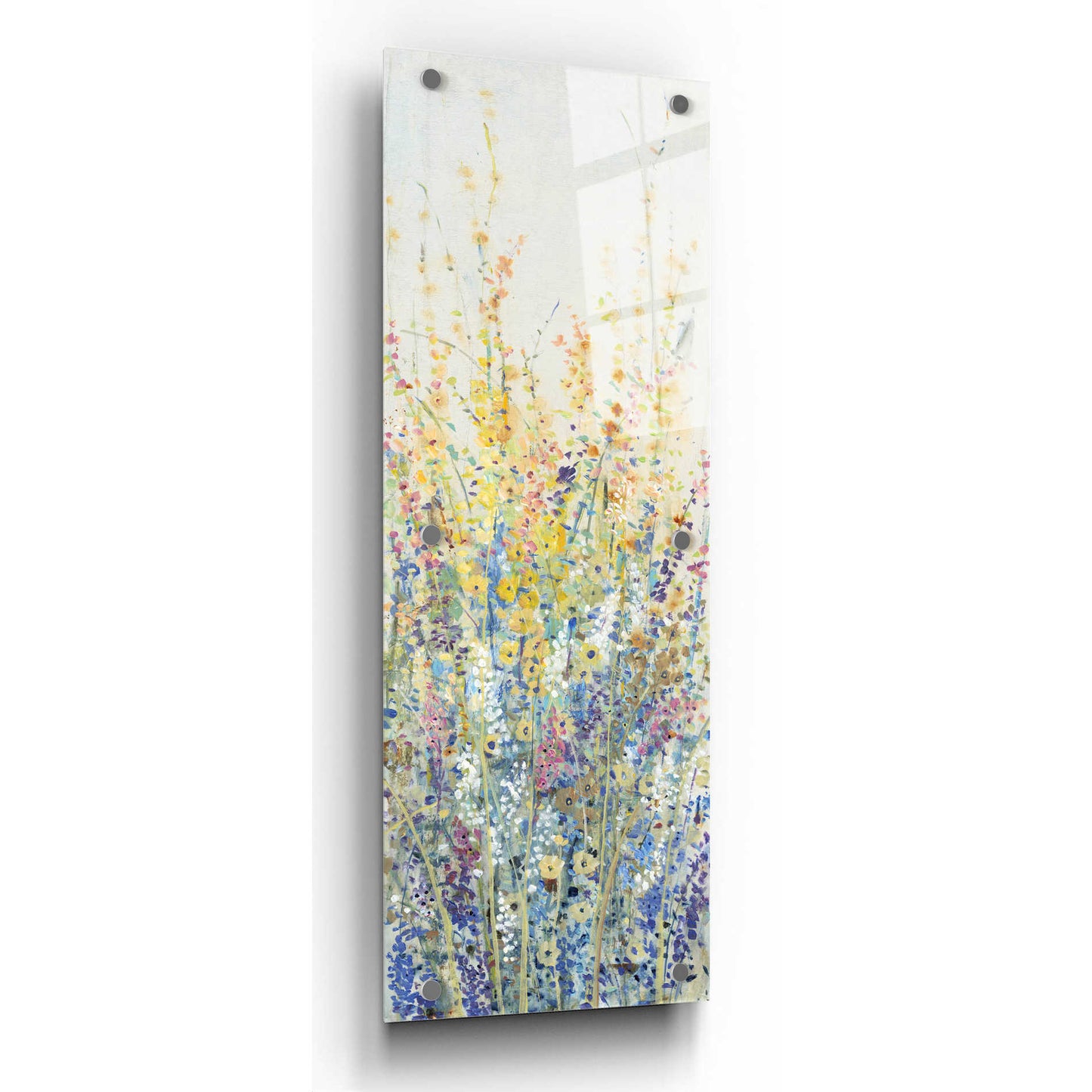 Epic Art 'Wildflower Panel II' by Tim O'Toole, Acrylic Glass Wall Art,3:1