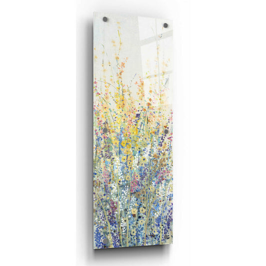 Epic Art 'Wildflower Panel II' by Tim O'Toole, Acrylic Glass Wall Art,3:1