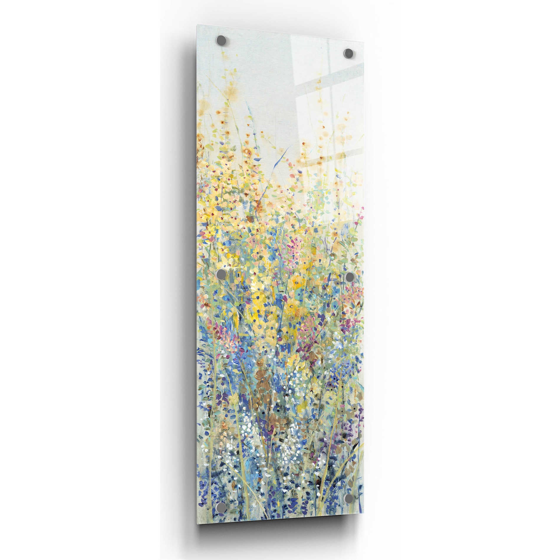 Epic Art 'Wildflower Panel III' by Tim O'Toole, Acrylic Glass Wall Art,12x36