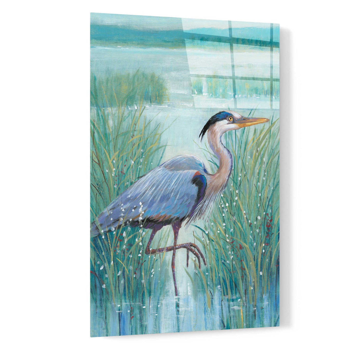 Epic Art 'Wetland Heron I' by Tim O'Toole, Acrylic Glass Wall Art,16x24