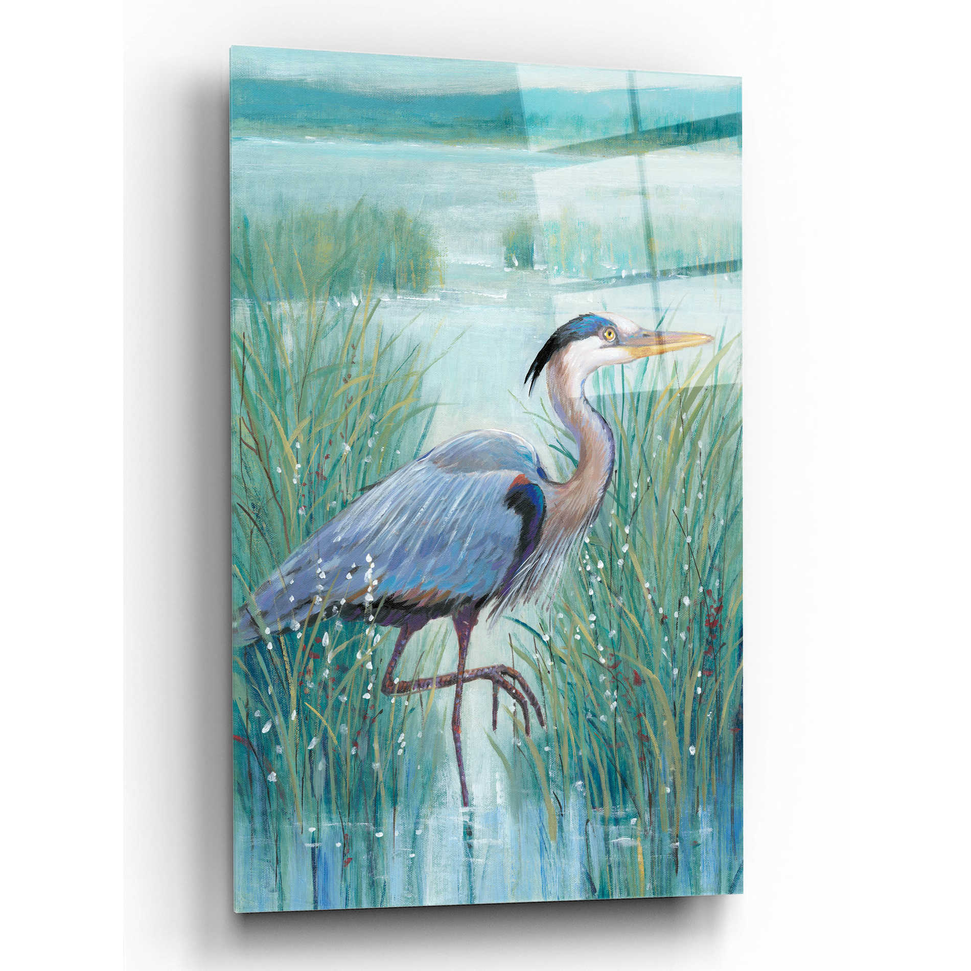 Epic Art 'Wetland Heron I' by Tim O'Toole, Acrylic Glass Wall Art,16x24