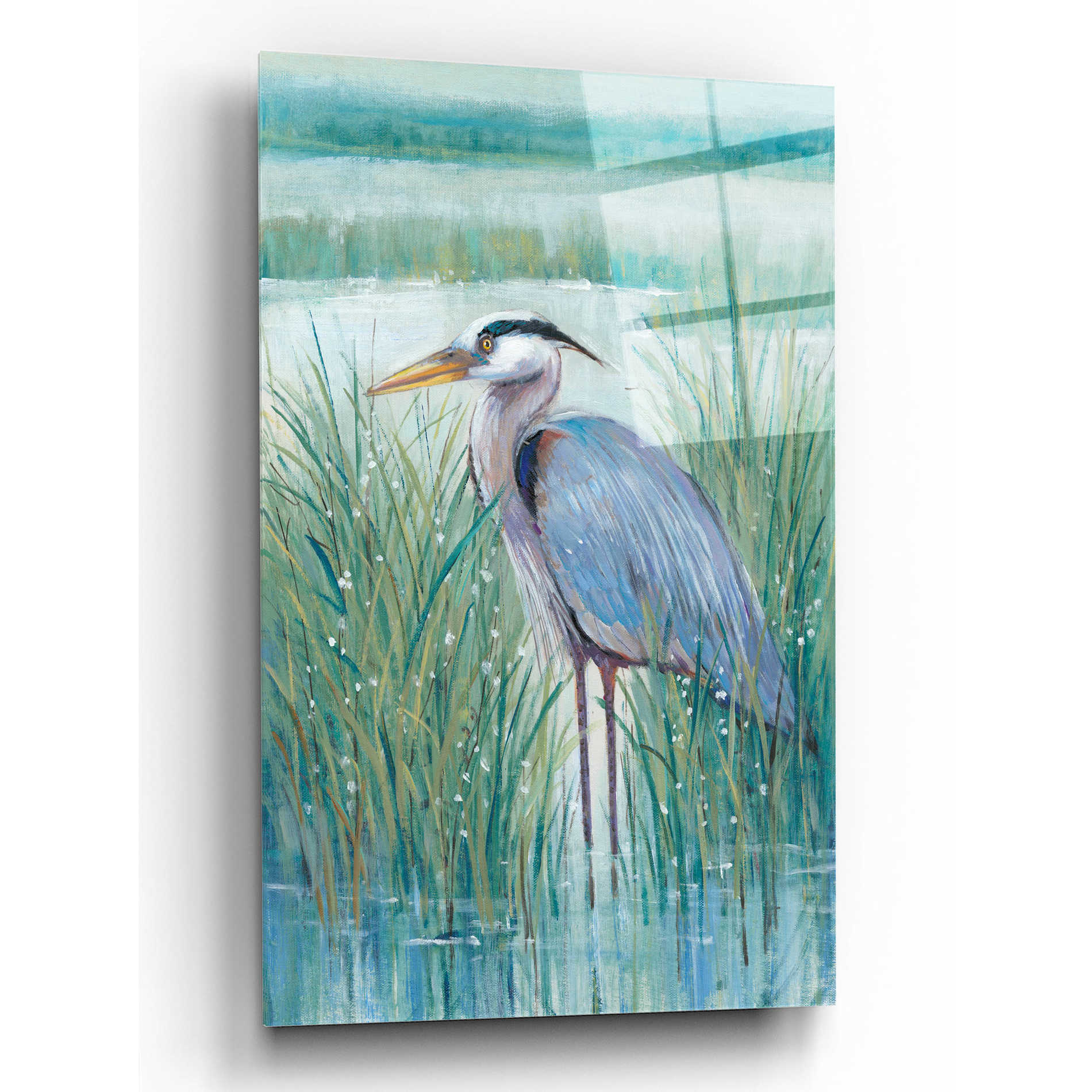 Epic Art 'Wetland Heron II' by Tim O'Toole, Acrylic Glass Wall Art,12x16