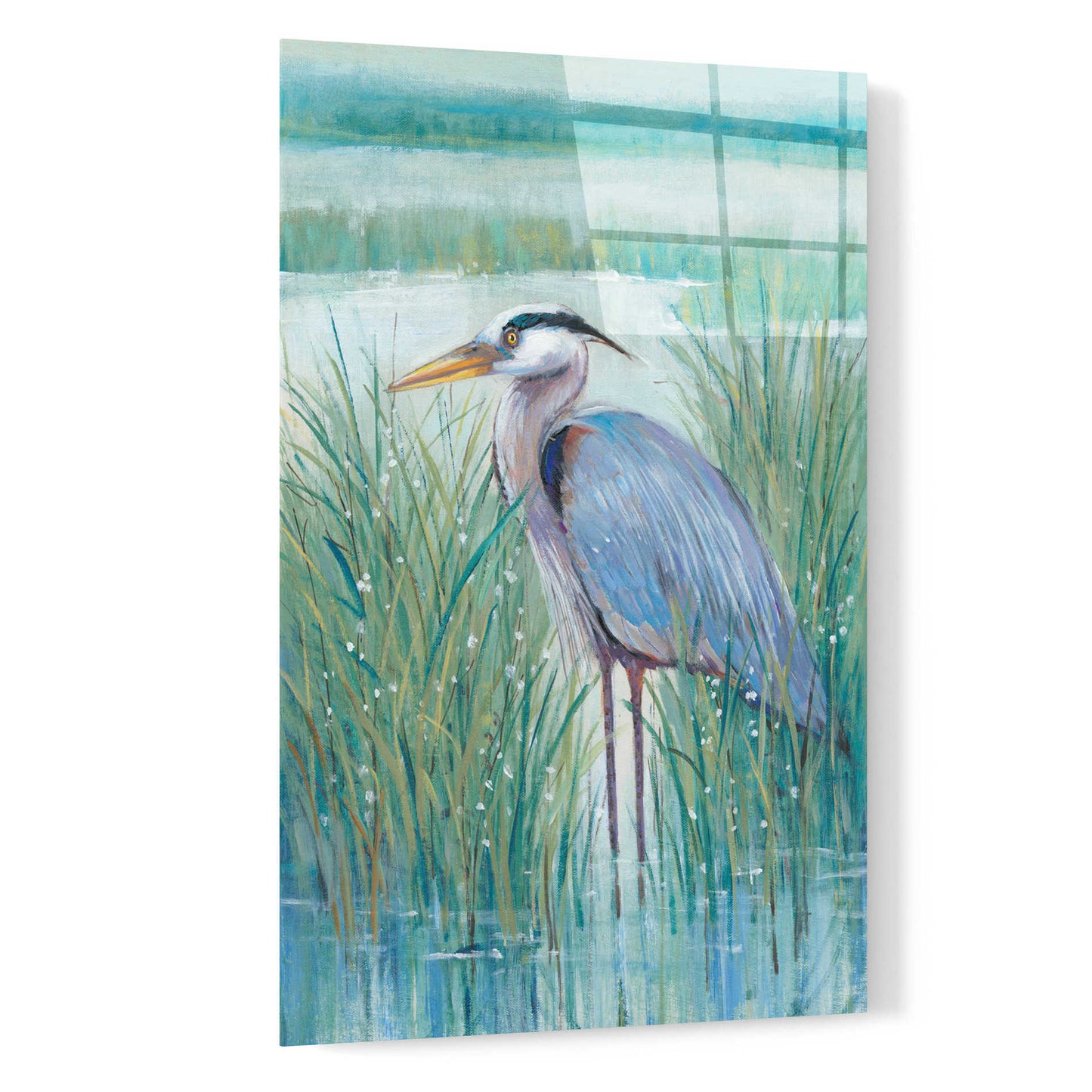 Epic Art 'Wetland Heron II' by Tim O'Toole, Acrylic Glass Wall Art,16x24
