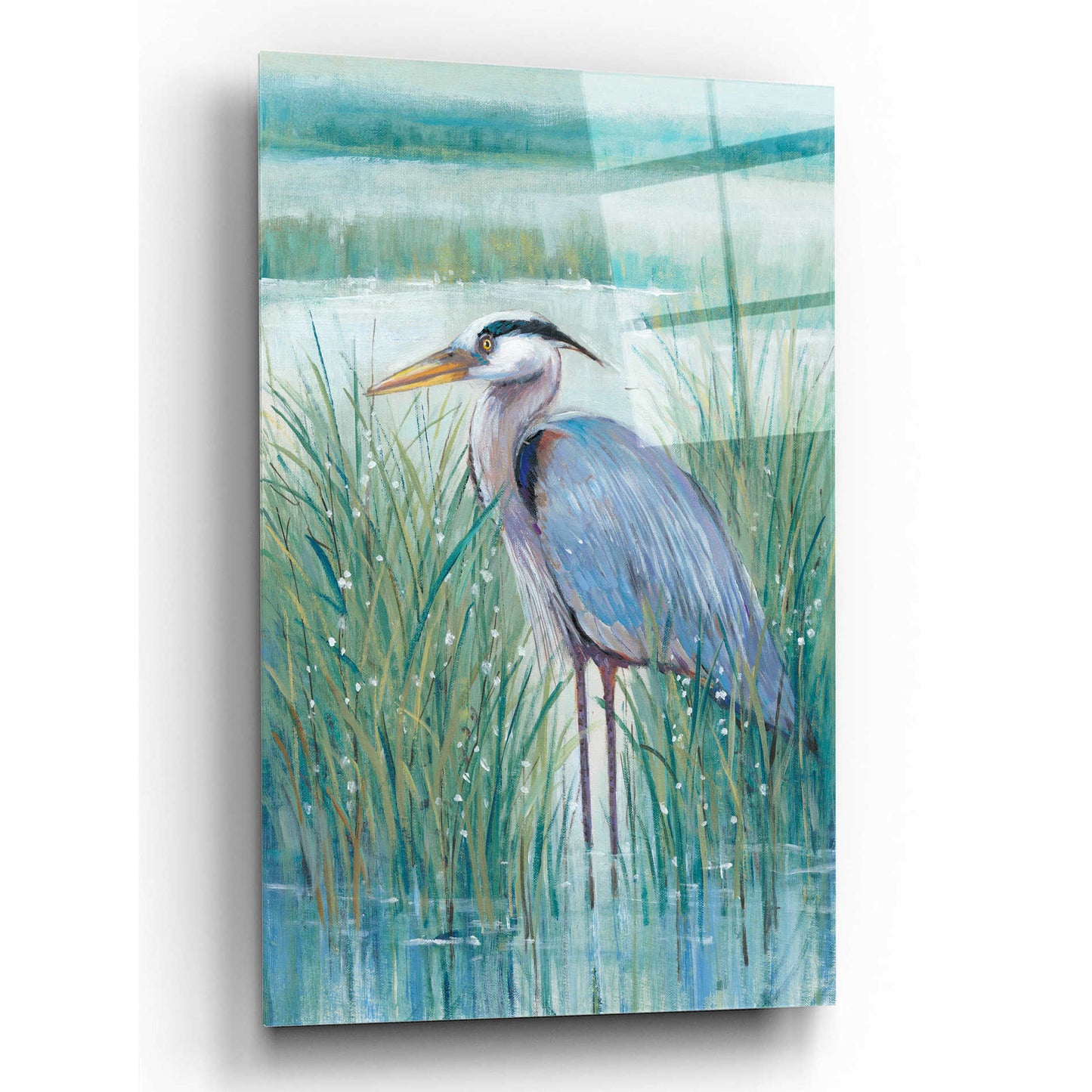 Epic Art 'Wetland Heron II' by Tim O'Toole, Acrylic Glass Wall Art,16x24