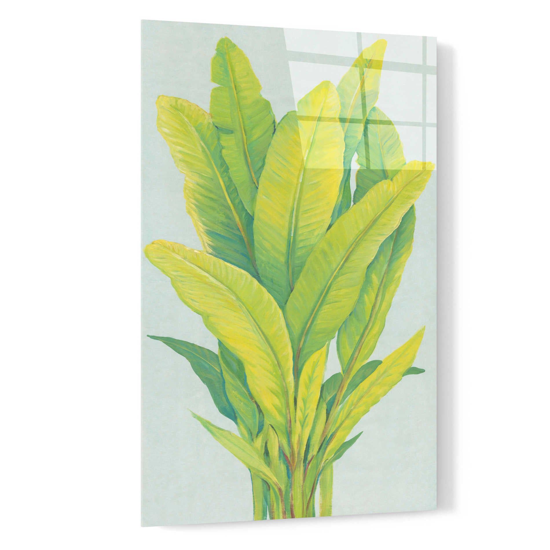 Epic Art 'Chartreuse Tropical Foliage I' by Tim O'Toole, Acrylic Glass Wall Art,16x24