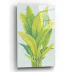 Epic Art 'Chartreuse Tropical Foliage I' by Tim O'Toole, Acrylic Glass Wall Art
