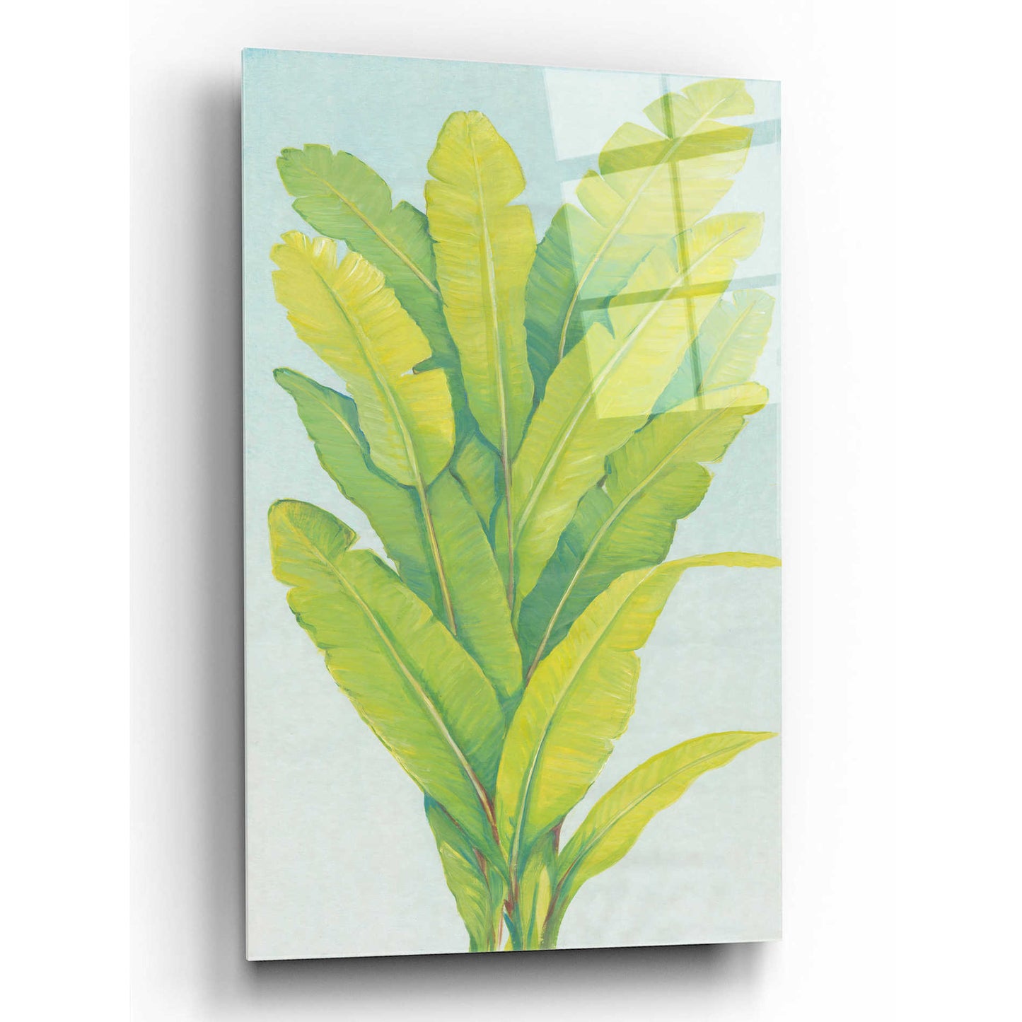 Epic Art 'Chartreuse Tropical Foliage II' by Tim O'Toole, Acrylic Glass Wall Art,12x16