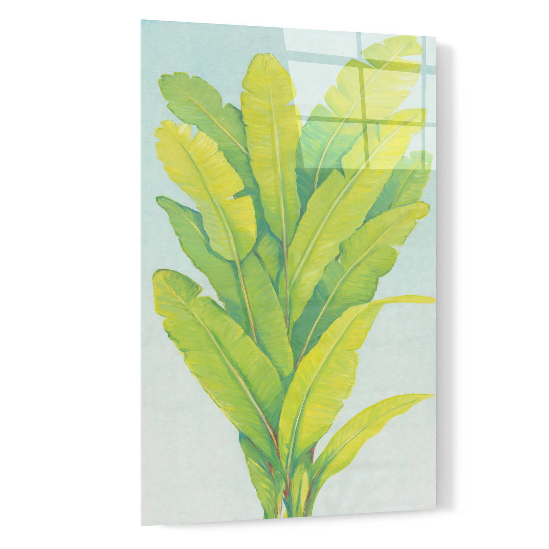 Epic Art 'Chartreuse Tropical Foliage II' by Tim O'Toole, Acrylic Glass Wall Art,16x24