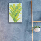Epic Art 'Chartreuse Tropical Foliage II' by Tim O'Toole, Acrylic Glass Wall Art,16x24