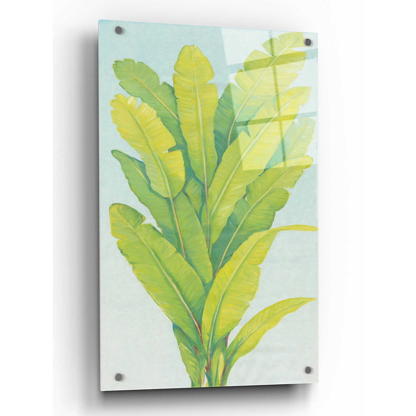 Epic Art 'Chartreuse Tropical Foliage II' by Tim O'Toole, Acrylic Glass Wall Art,24x36